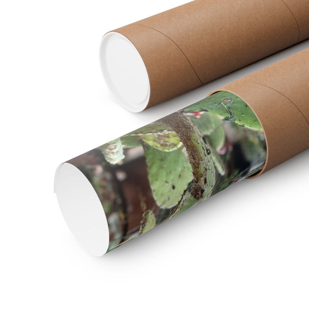 Cactus Wall Art Poster, Botanical Decor, Vertical Matte Print, Nature Lover Gift, Home Gallery Decoration