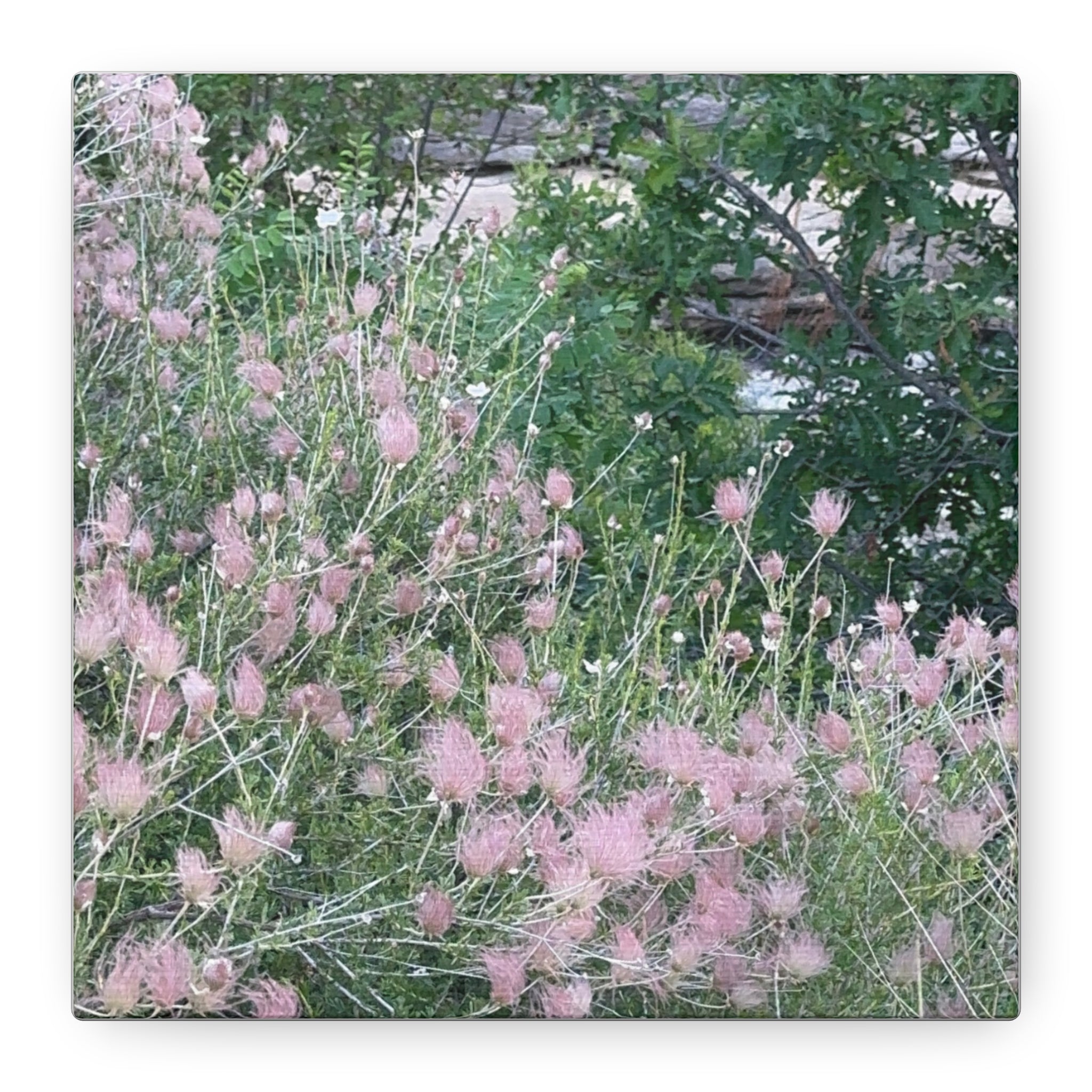 Floral Wall Art Canvas, Home Decor, Nature Lover Gift, Botanical Print, Spring Decor, Mother’s Day