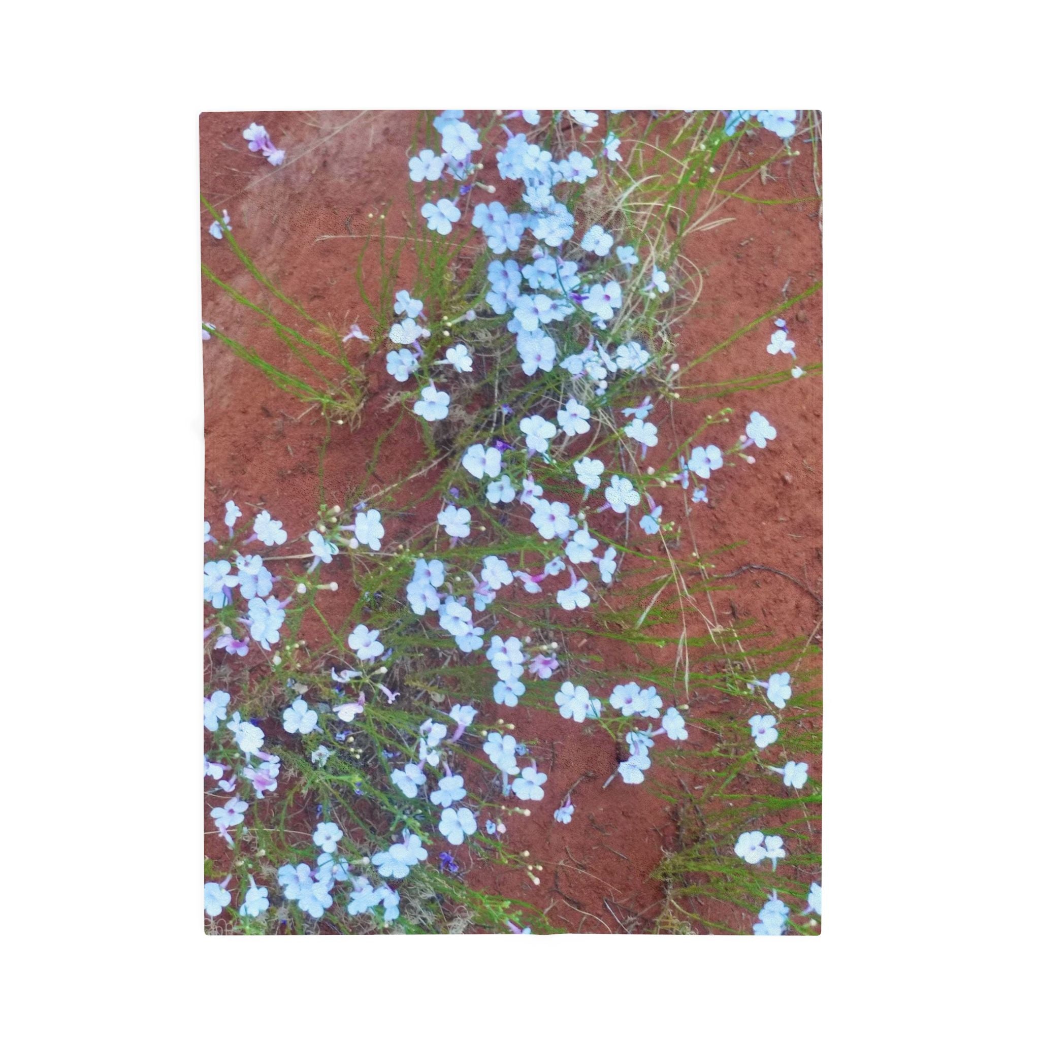 Floral Velveteen Plush Blanket | Cozy Home Décor, Perfect Gift for Holidays, Soft Throw for Bedrooms, Rustic Cottage Style