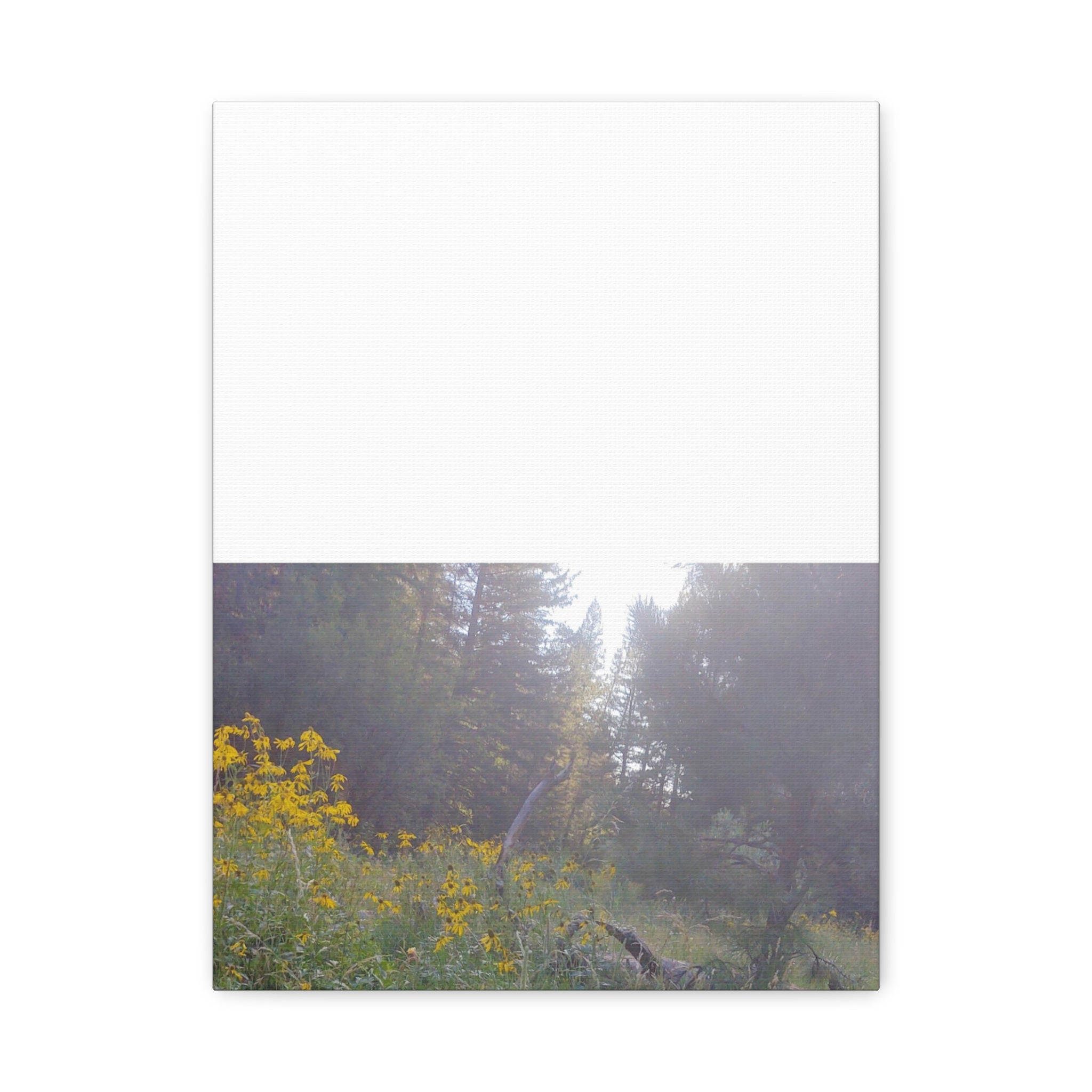 Matte Canvas, Stretched, 1.25"