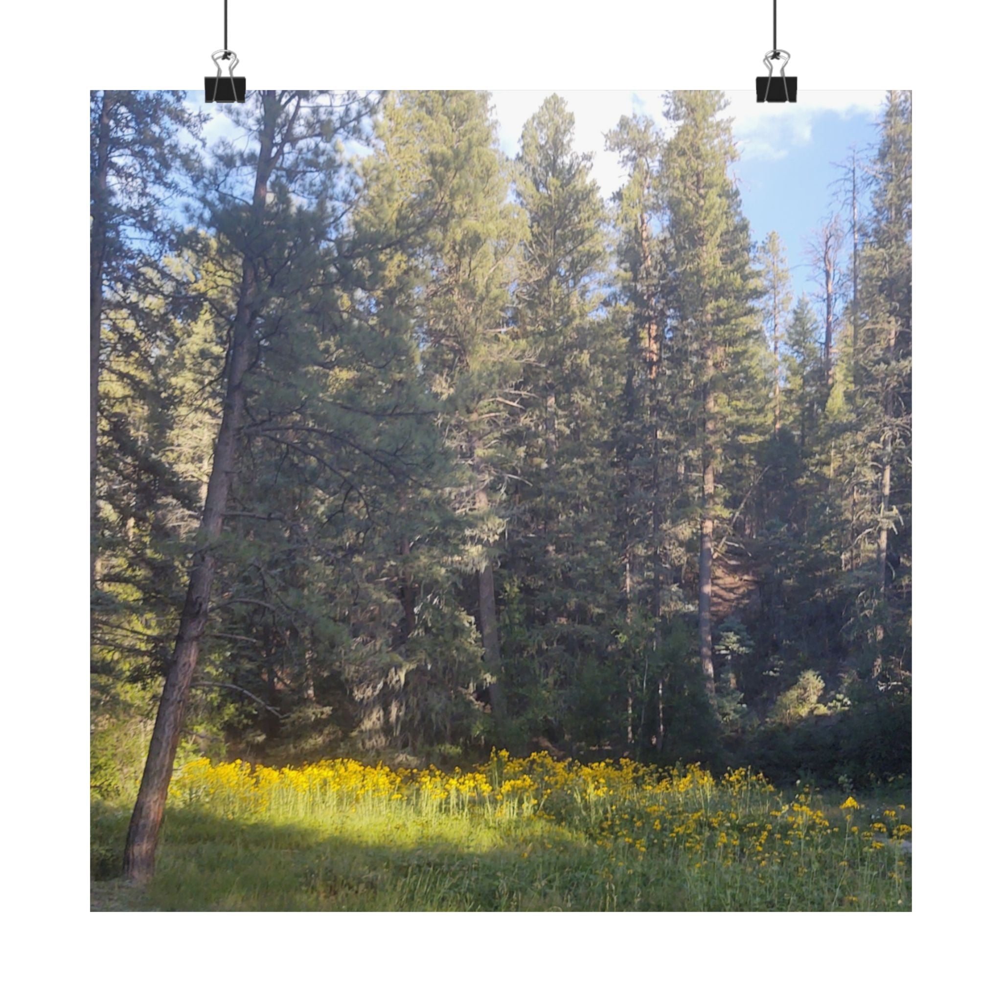 Nature-Inspired Matte Vertical Posters, Wall Artwork, Home Decor, Forest Prints, Boho Wall Art, Gift for Nature Lovers