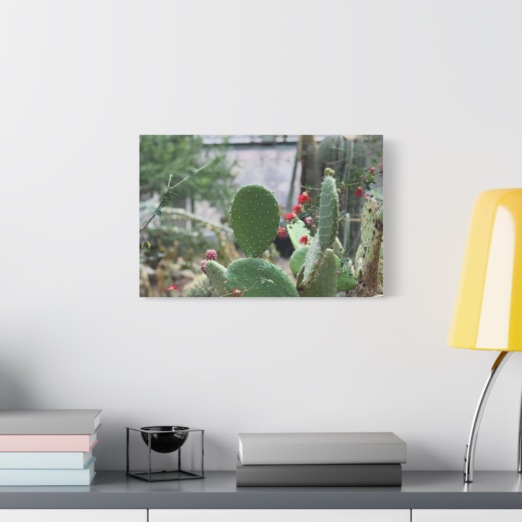 Cactus Matte Canvas Wall Art, Nature Decor, Southwestern Room Design, Green Plant Prints, Home and Office Wall Decor
