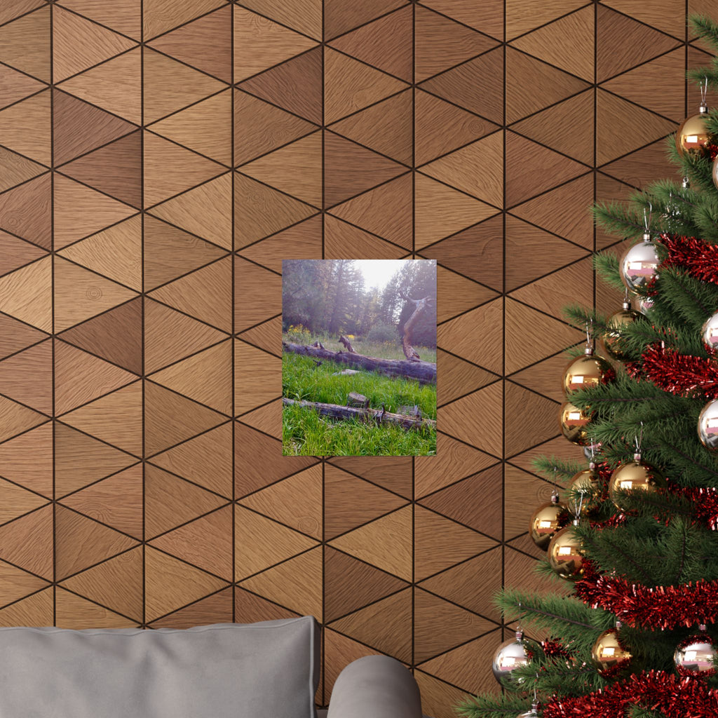 Nature-Inspired Matte Vertical Posters, Wall Art Decor, Forest Photo Prints, Home Aesthetic, Gift for Nature Lovers