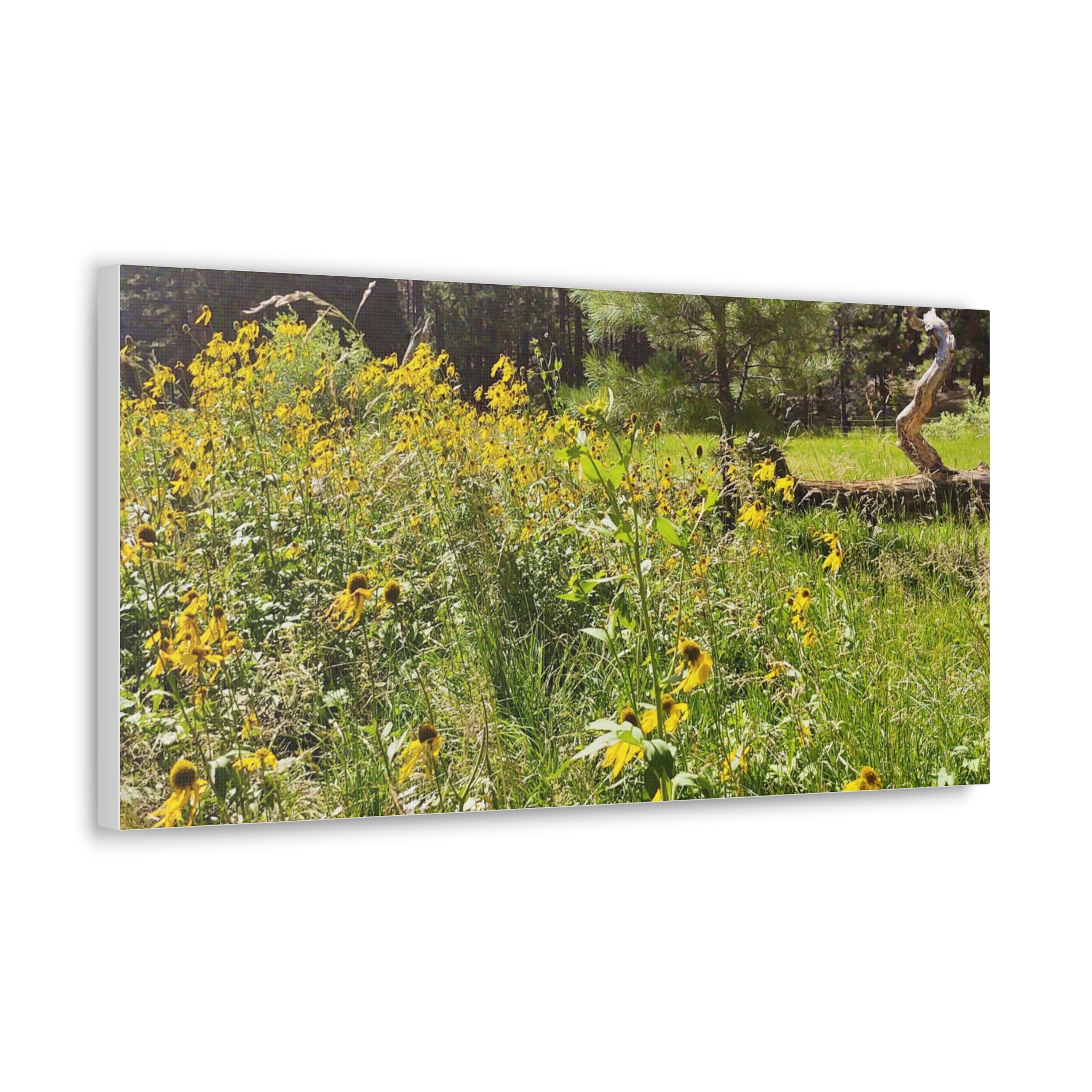 Canvas Wall Art, Nature Photography Decor, Floral Home Decor, Greenery Art Print, Gift for Nature Lovers