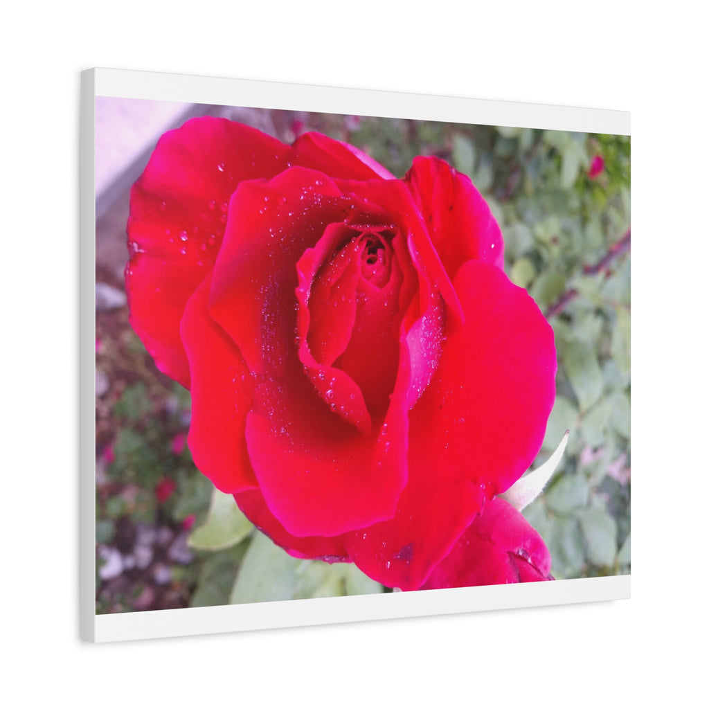 Vibrant Floral Canvas Art, Elegant Wall Decor, Perfect for Home, Gifts, Mother's Day, and Weddings