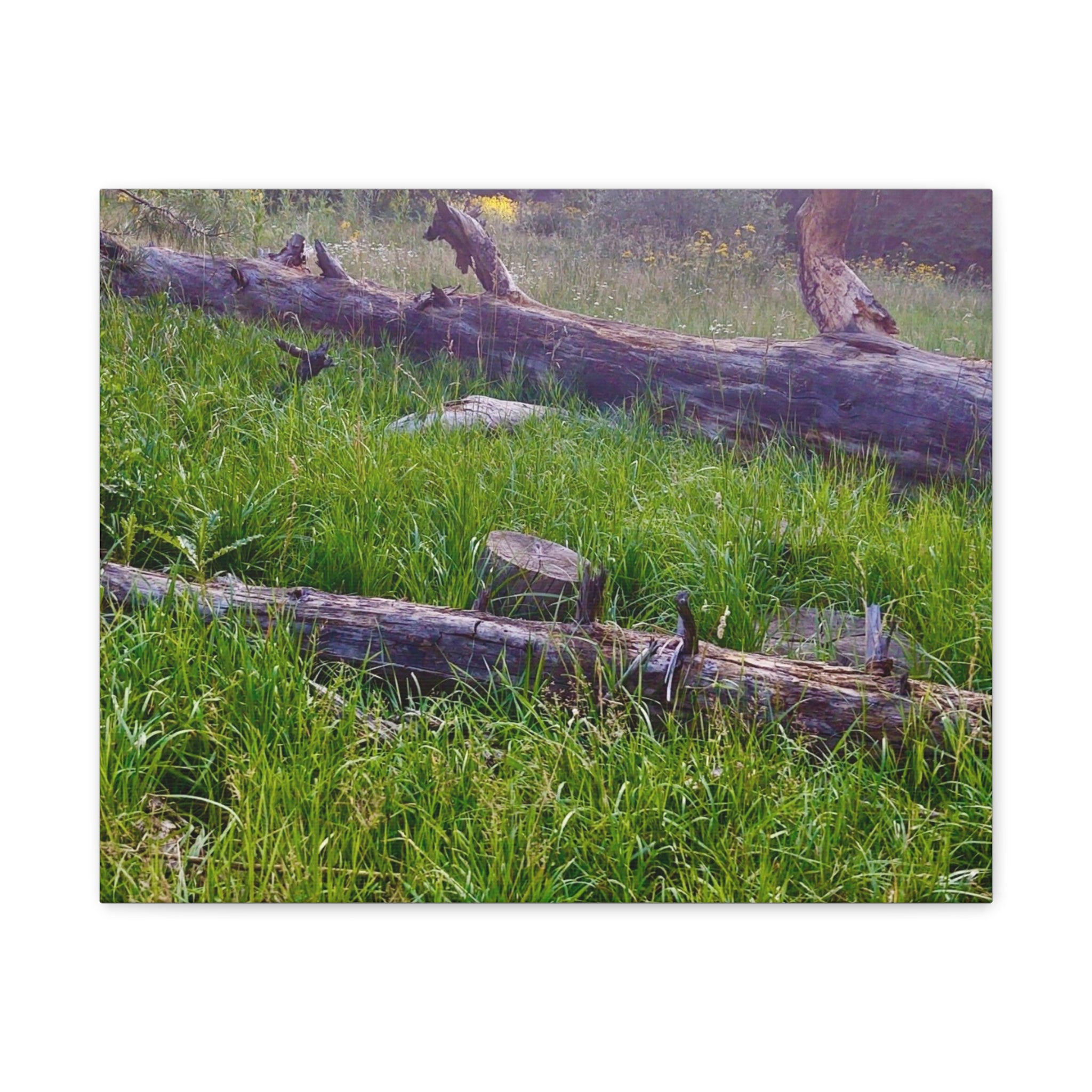 Classic Canvas Wall Art - Nature Decor, Outdoor Wall Hanging, Home Aesthetic, Gift for Nature Lovers, Rustic Cabin Decor