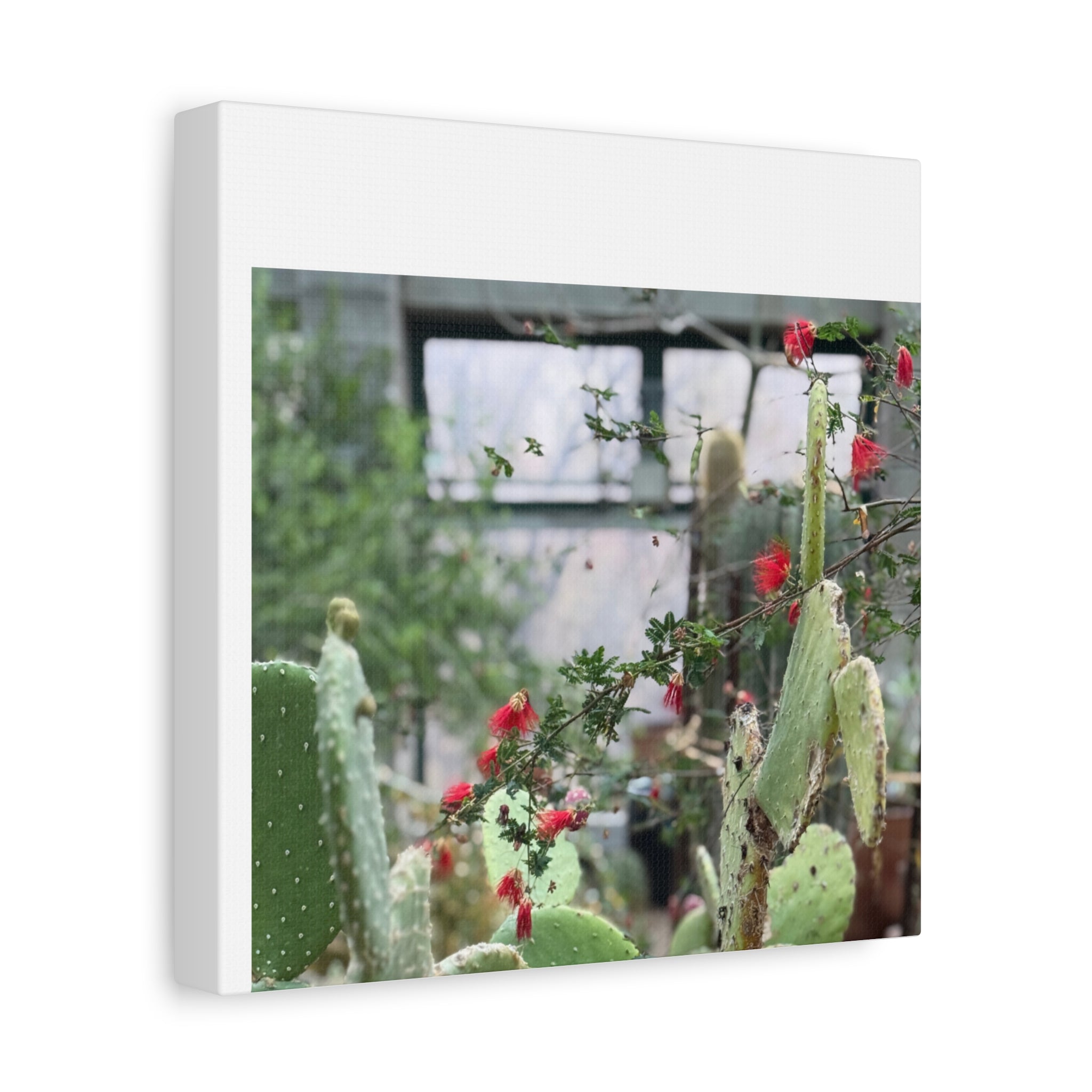 Cactus Wall Art Print, Nature Home Decor, Bohemian Style Artwork, Botanical Gift, Succulent Canvas