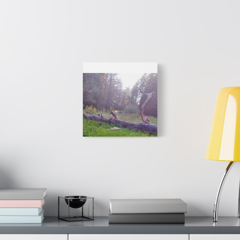 Matte Canvas Wall Art - Serene Nature Scene, Perfect for Home Decor, Gift for Nature Lovers, Office Wall Decoration, Rustic Art Print