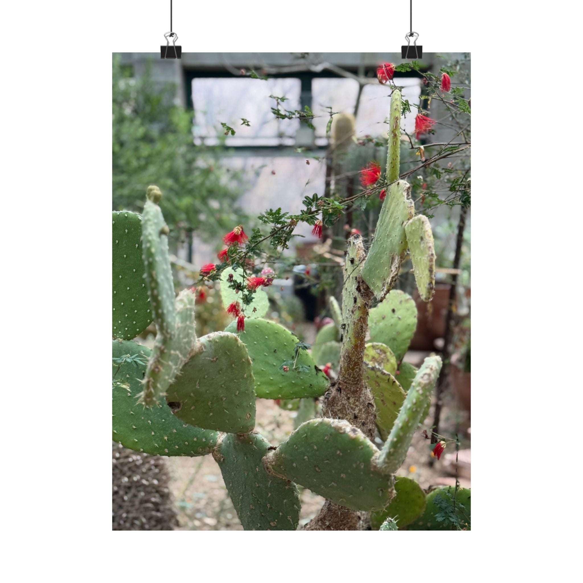 Cactus Vertical Wall Art, Boho Home Decor, Nature Print, Gift for Plant Lovers, Gallery Wall Decoration