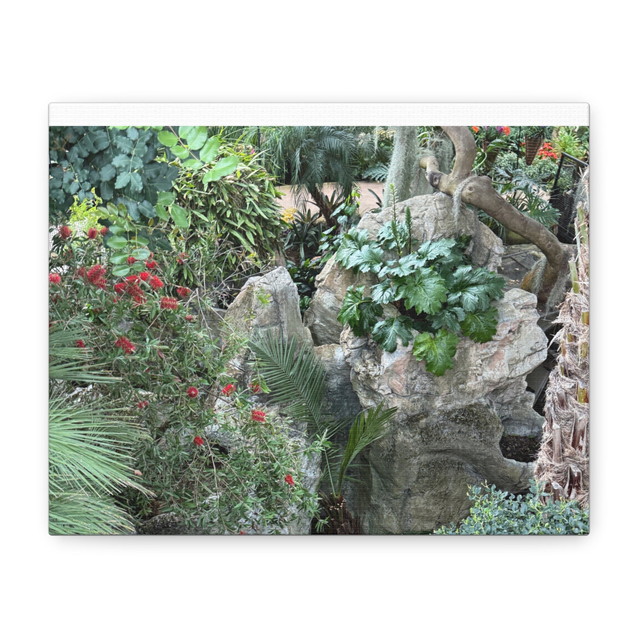 Garden Landscape Canvas Wall Art, Nature Decor, Home Decoration, Gift for Nature Lovers, Eco-Friendly Art, Botanical Wall Decor