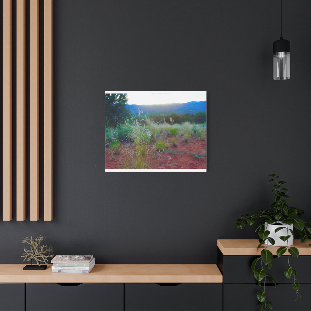 Stretched Canvas Art Print, Nature Wall Decor, Boho Home Decor, Rustic Landscape Art, Gift for Nature Lovers