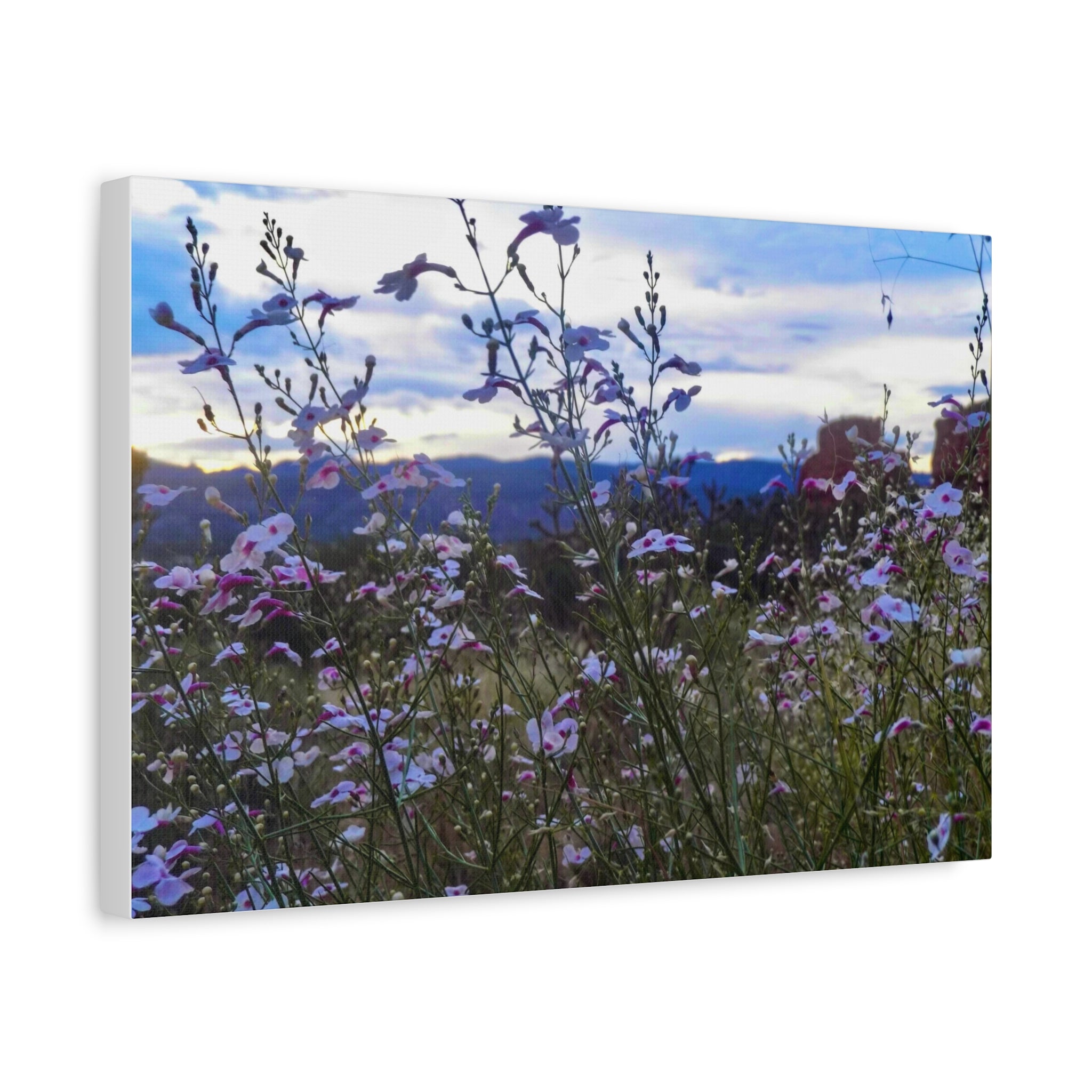 Floral Wall Art Canvas, Nature-Inspired Home Decor, Flower Print, Rustic Living Room, Gift for Gardeners, Boho Wall Art