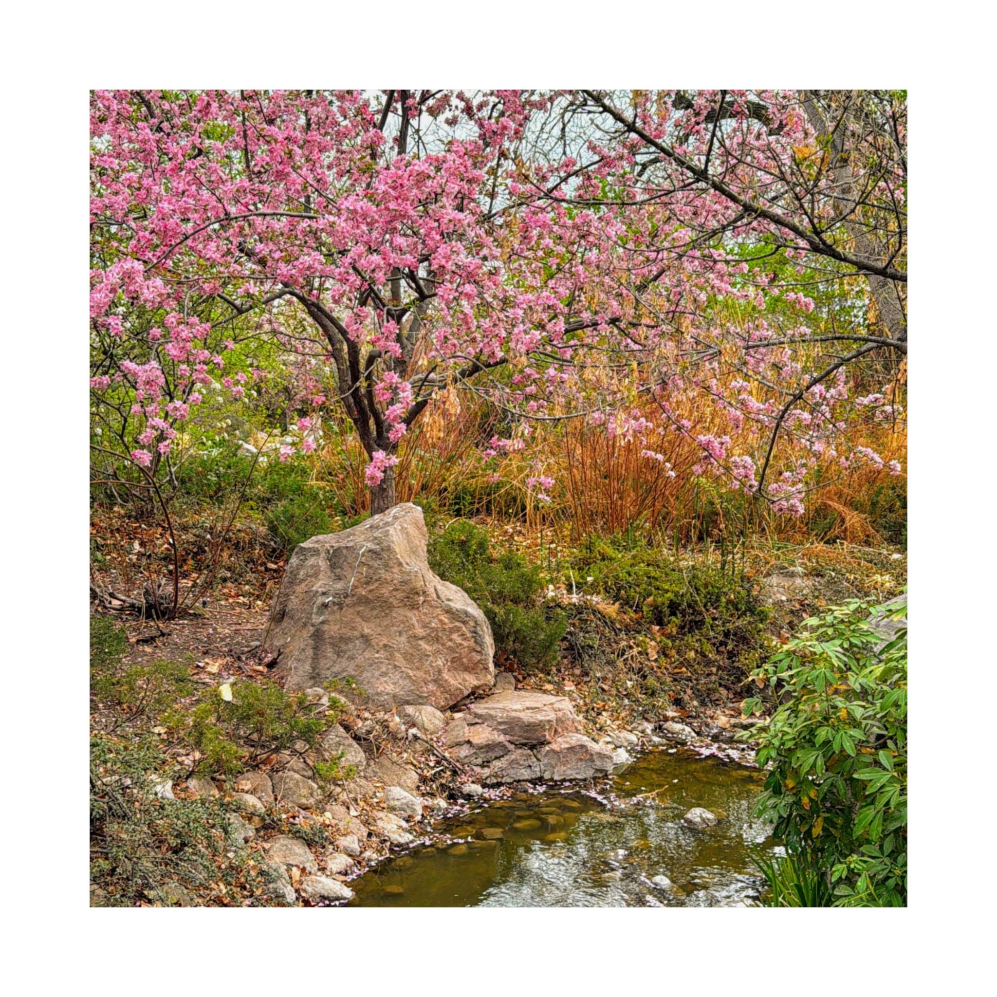 Nature-Inspired Matte Vertical Posters, Floral Wall Art, Spring Décor, Aesthetic Home Decor, Gift for Nature Lovers, Botanical Prints