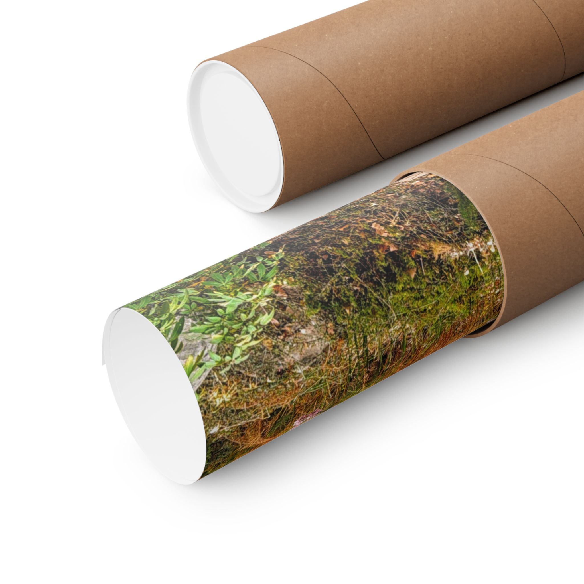 Nature-Inspired Matte Vertical Posters, Floral Wall Art, Spring Décor, Aesthetic Home Decor, Gift for Nature Lovers, Botanical Prints