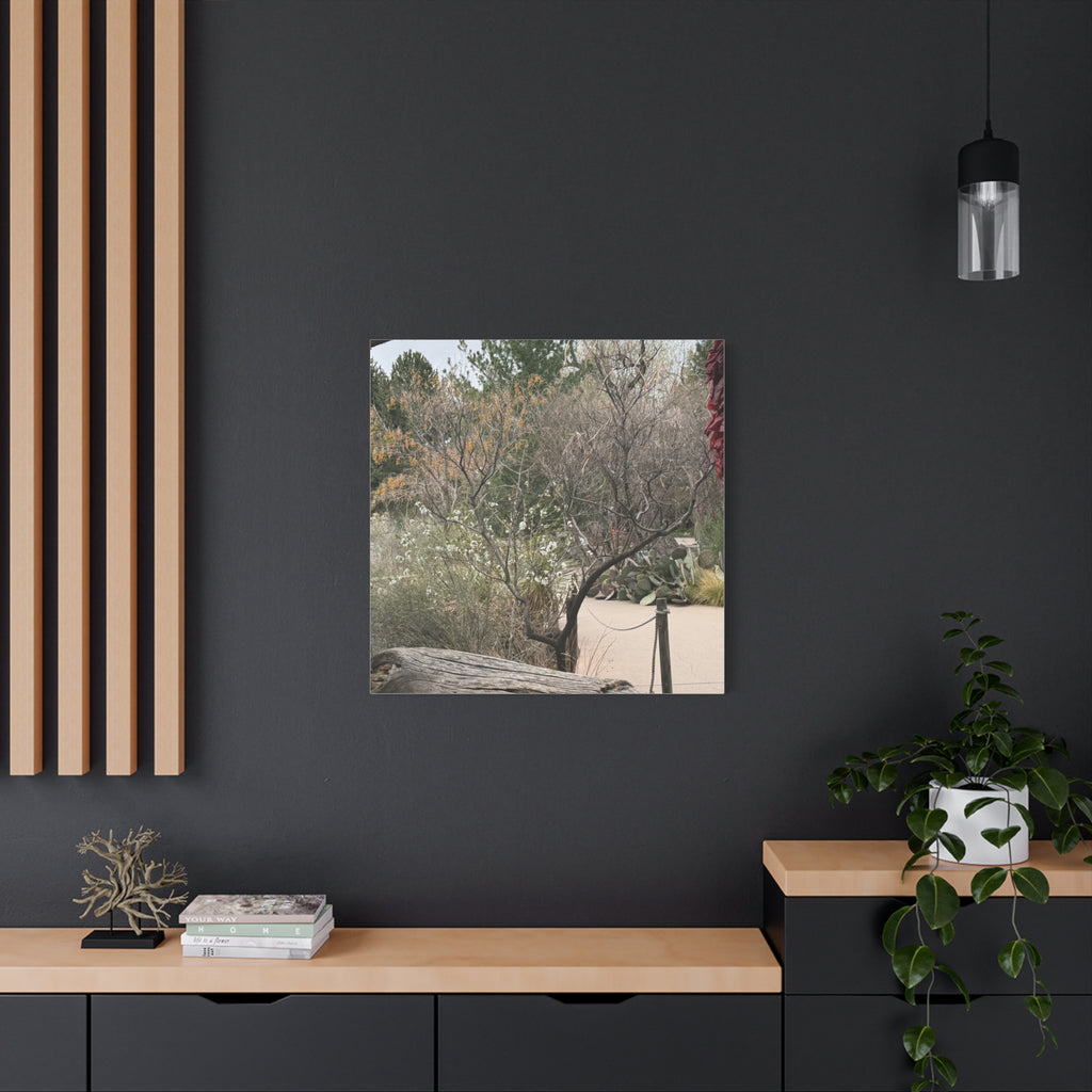 Classic Canvas Art Print, Bohemian Decor, Nature Wall Art, Home Gallery, Rustic Wall Decoration