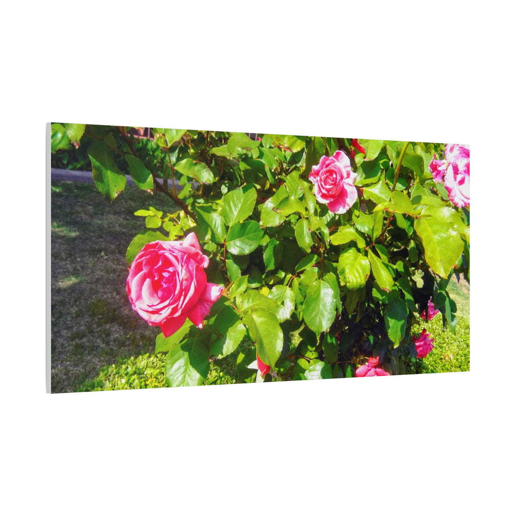 Floral Canvas Wall Art, Pink Rose Decor, Home Gallery Piece, Flower Photography, Garden Wall Decor, Floral Print