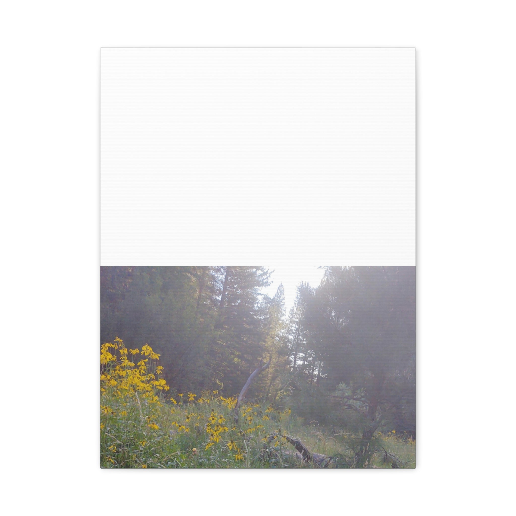 Matte Canvas, Stretched, 1.25"