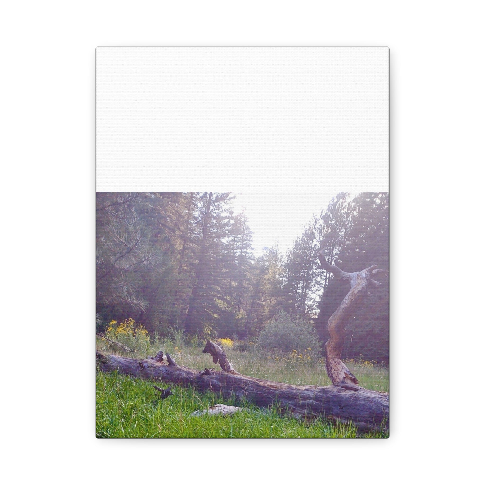 Matte Canvas Wall Art - Serene Nature Scene, Perfect for Home Decor, Gift for Nature Lovers, Office Wall Decoration, Rustic Art Print