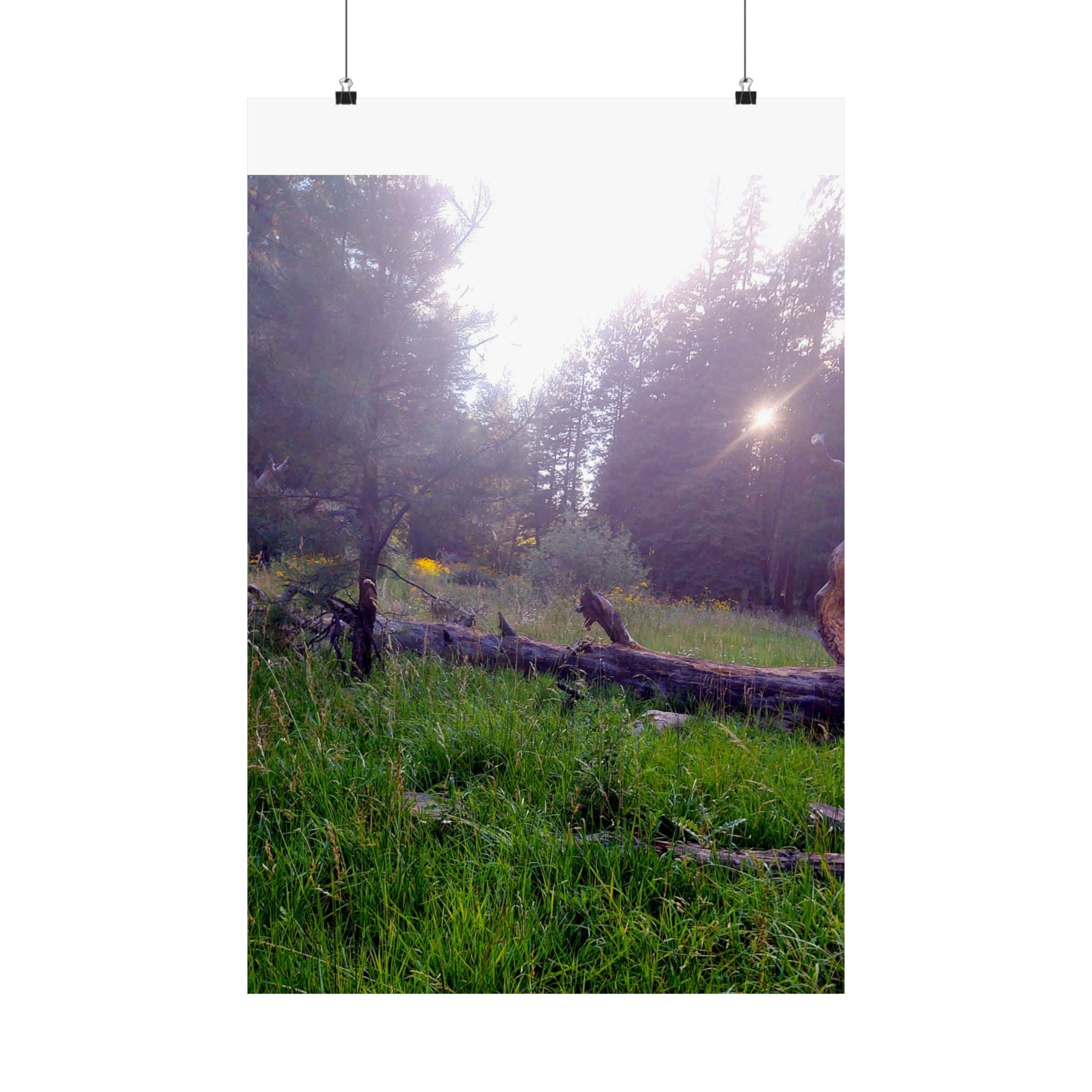 Nature-Inspired Matte Vertical Posters for Home Décor, Unique Wall Art Prints, Botanical Print Collection, Gifts for Nature Lovers, [...]