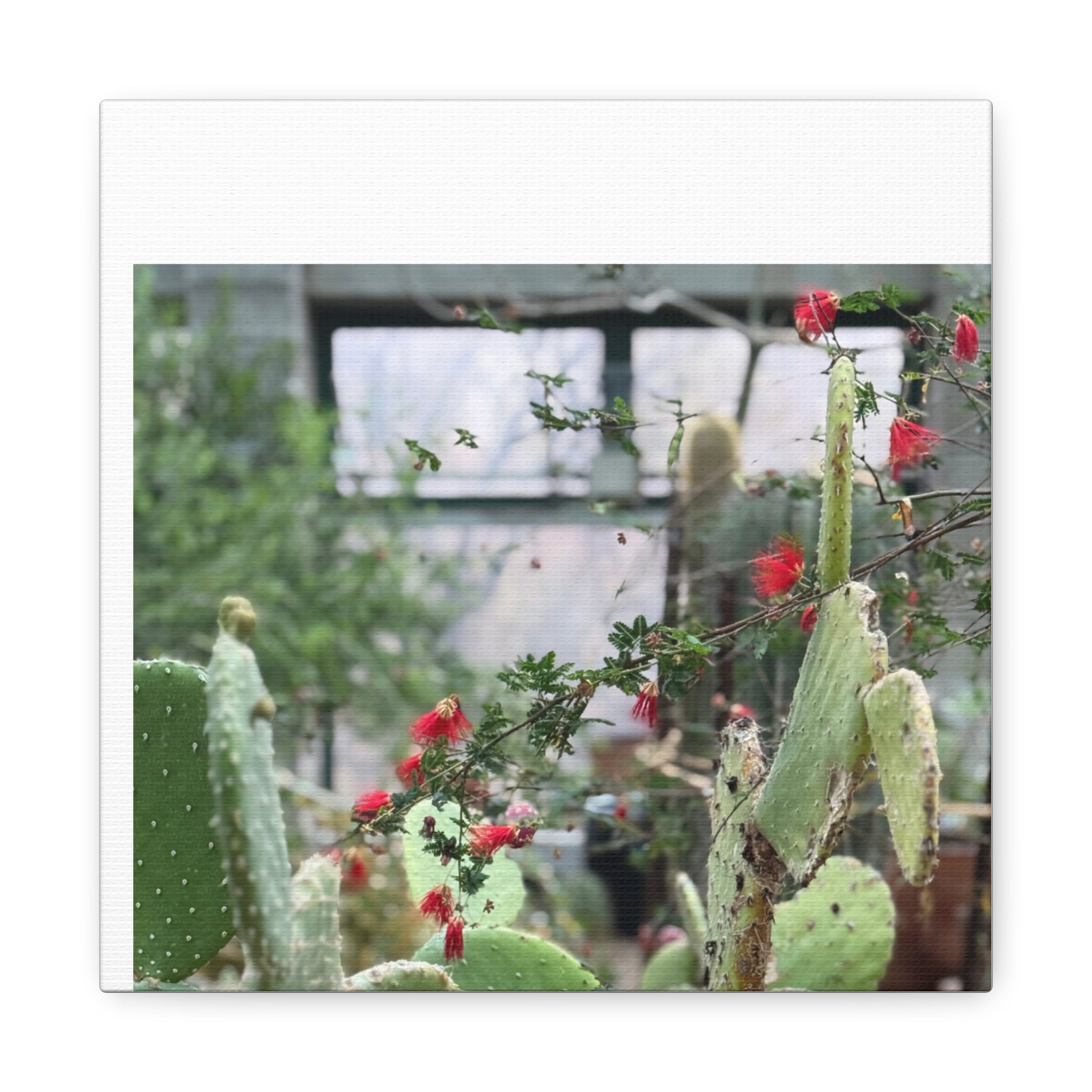 Cactus Wall Art Print, Nature Home Decor, Bohemian Style Artwork, Botanical Gift, Succulent Canvas