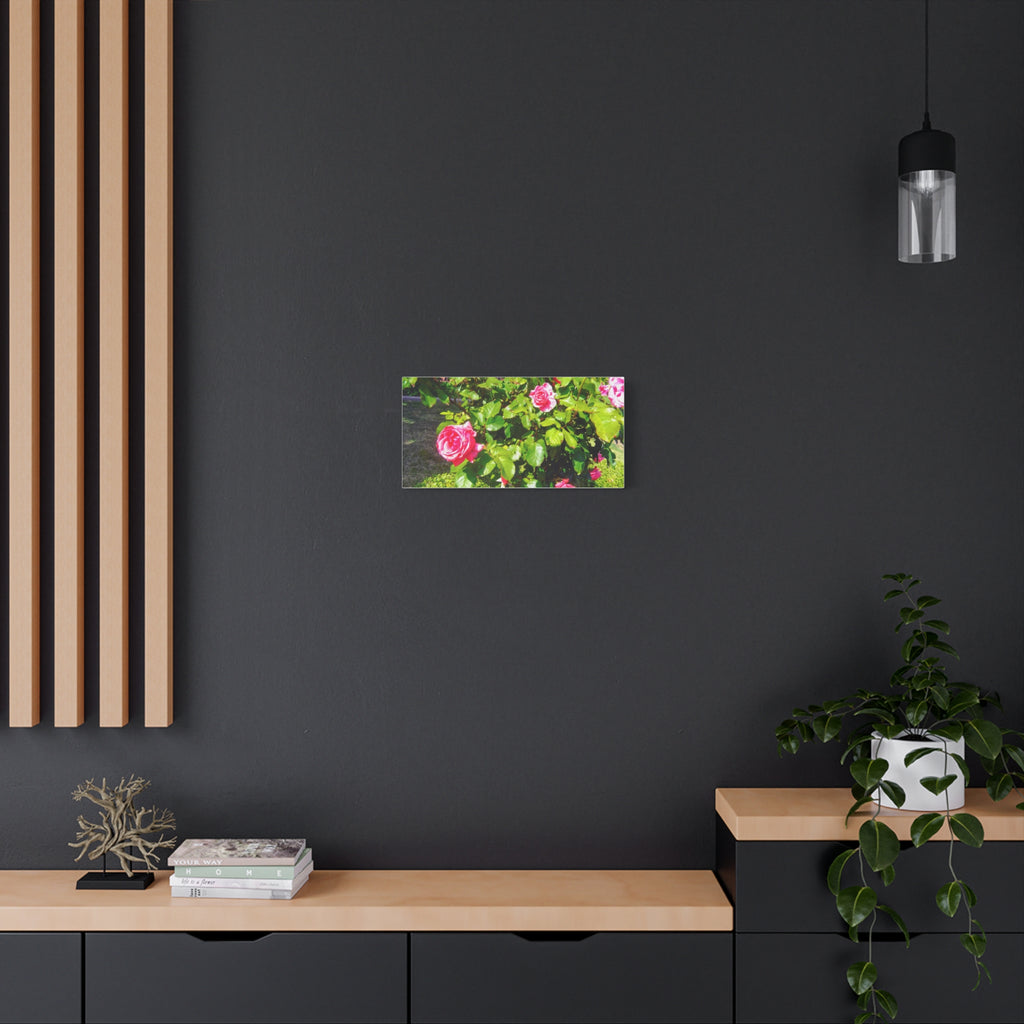 Floral Canvas Wall Art, Pink Rose Decor, Home Gallery Piece, Flower Photography, Garden Wall Decor, Floral Print