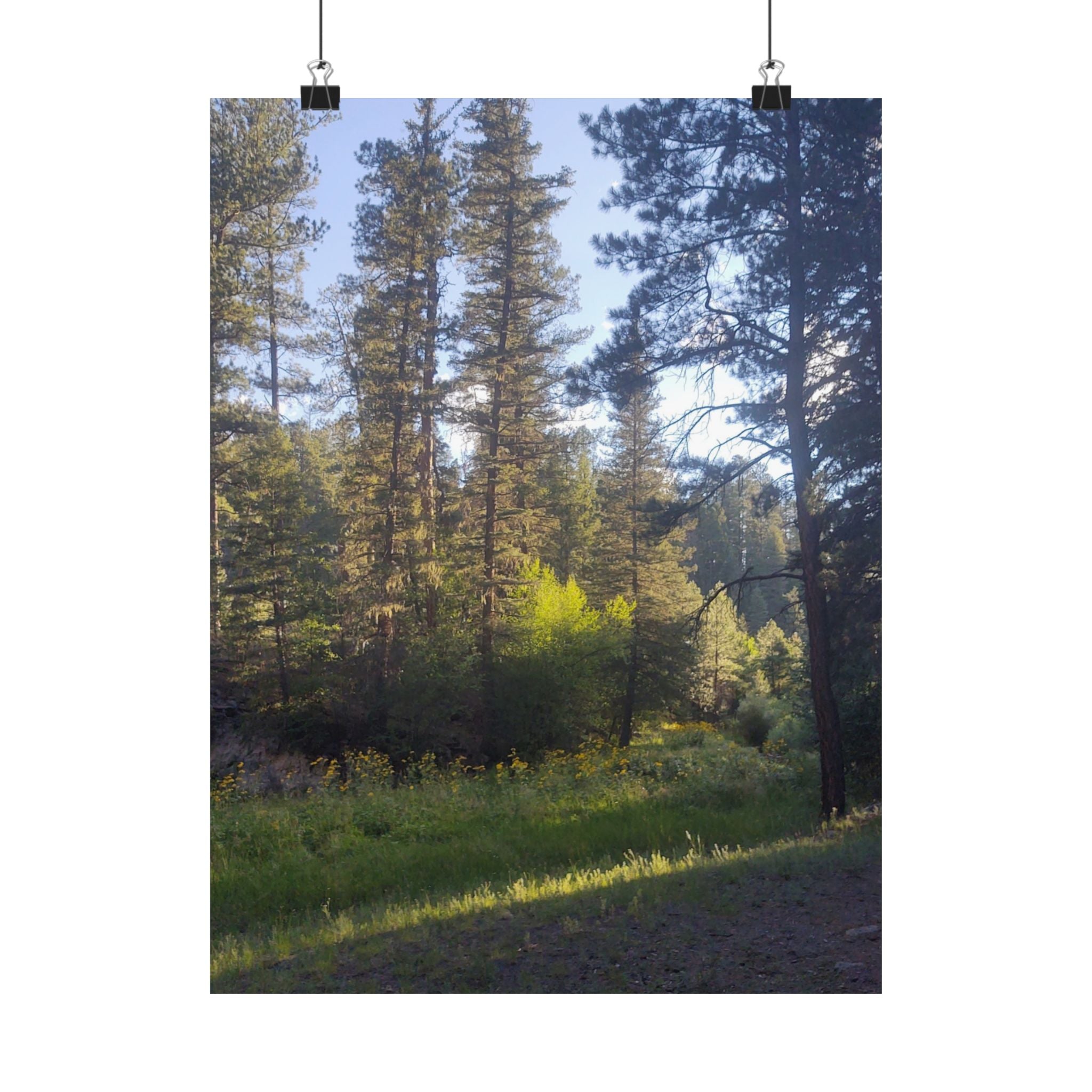 Nature-Inspired Matte Vertical Posters, Forest Wall Art, Home Décor, Greenery Prints, Gifts for Nature Lovers, Nature Photography