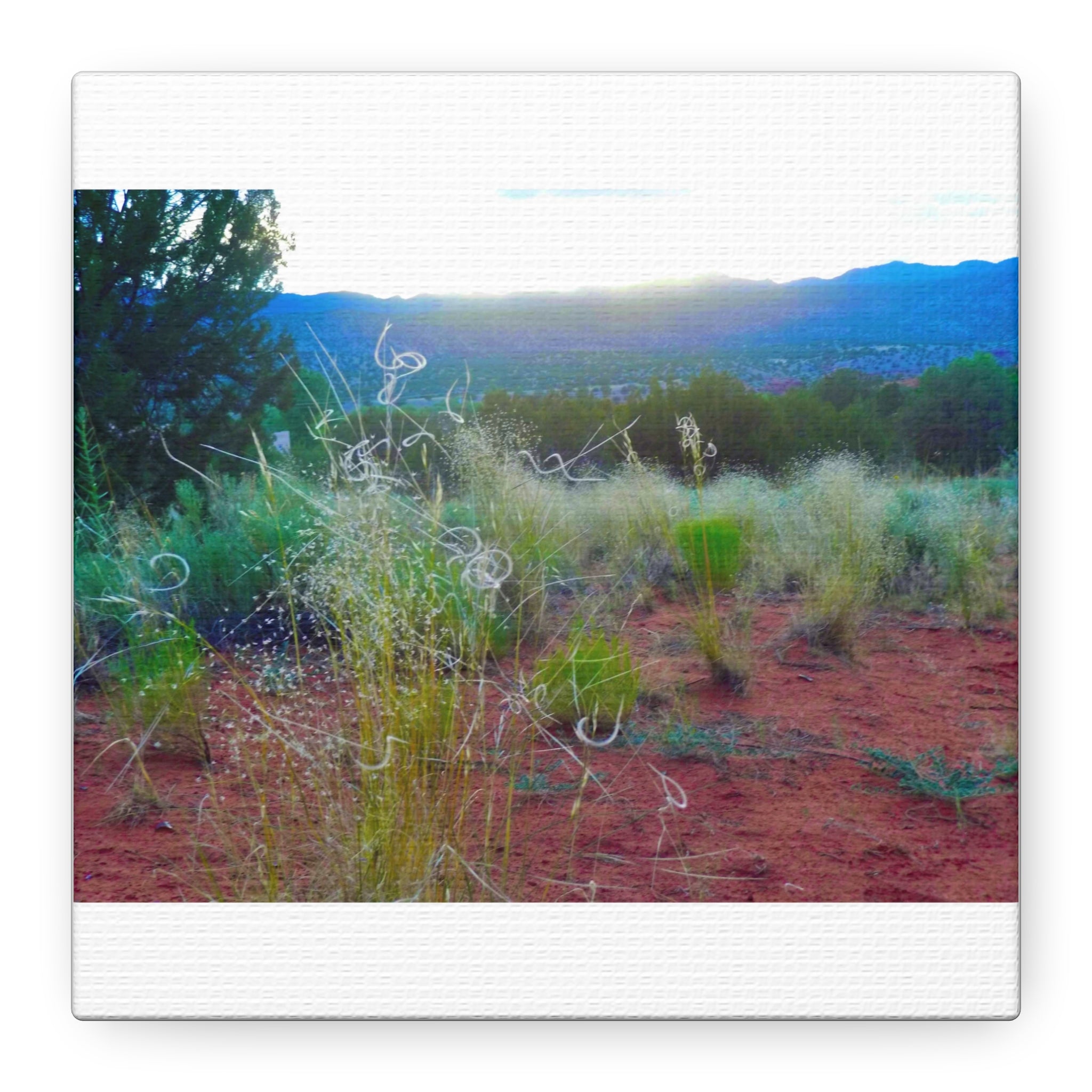 Stretched Canvas Art Print, Nature Wall Decor, Boho Home Decor, Rustic Landscape Art, Gift for Nature Lovers