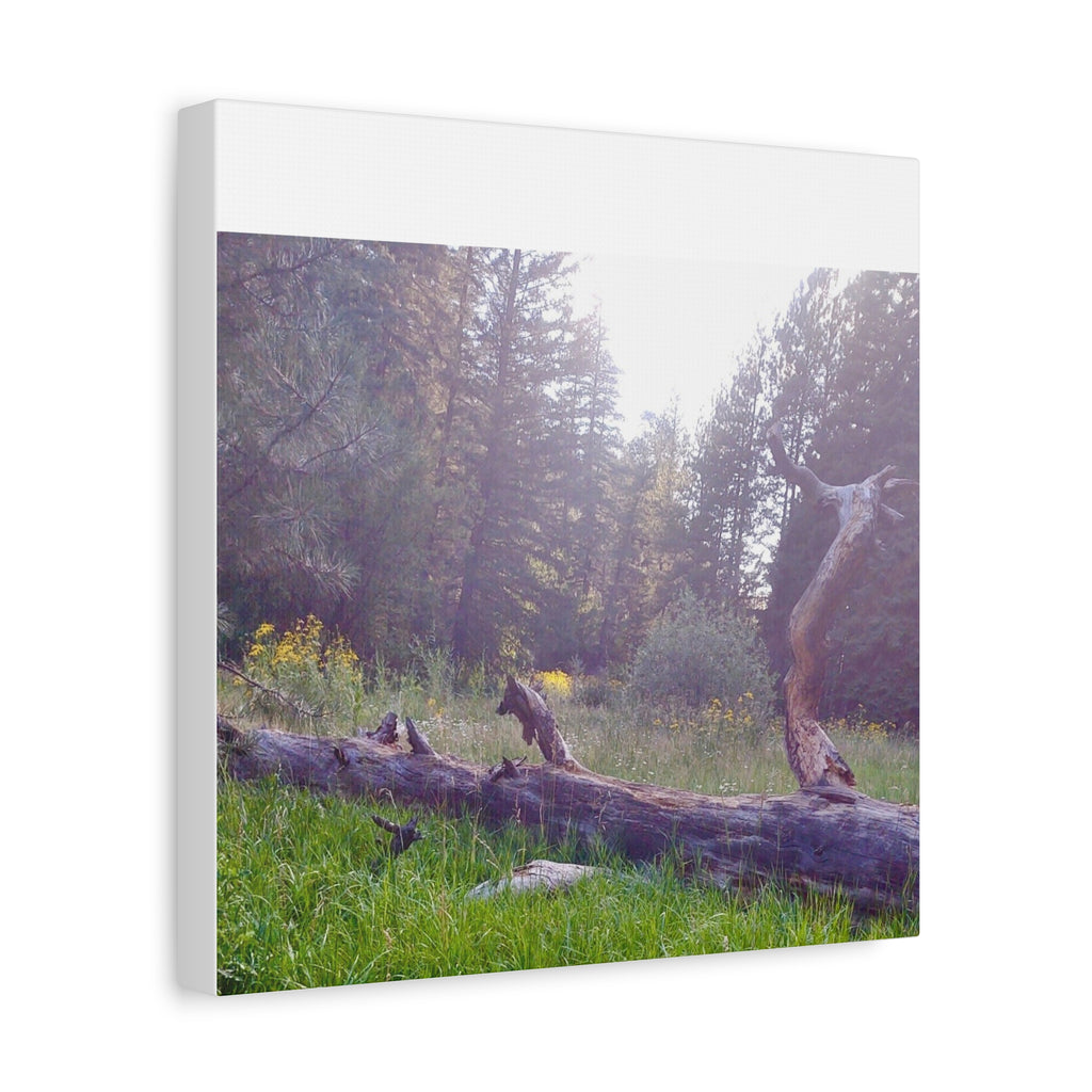 Matte Canvas Wall Art - Serene Nature Scene, Perfect for Home Decor, Gift for Nature Lovers, Office Wall Decoration, Rustic Art Print