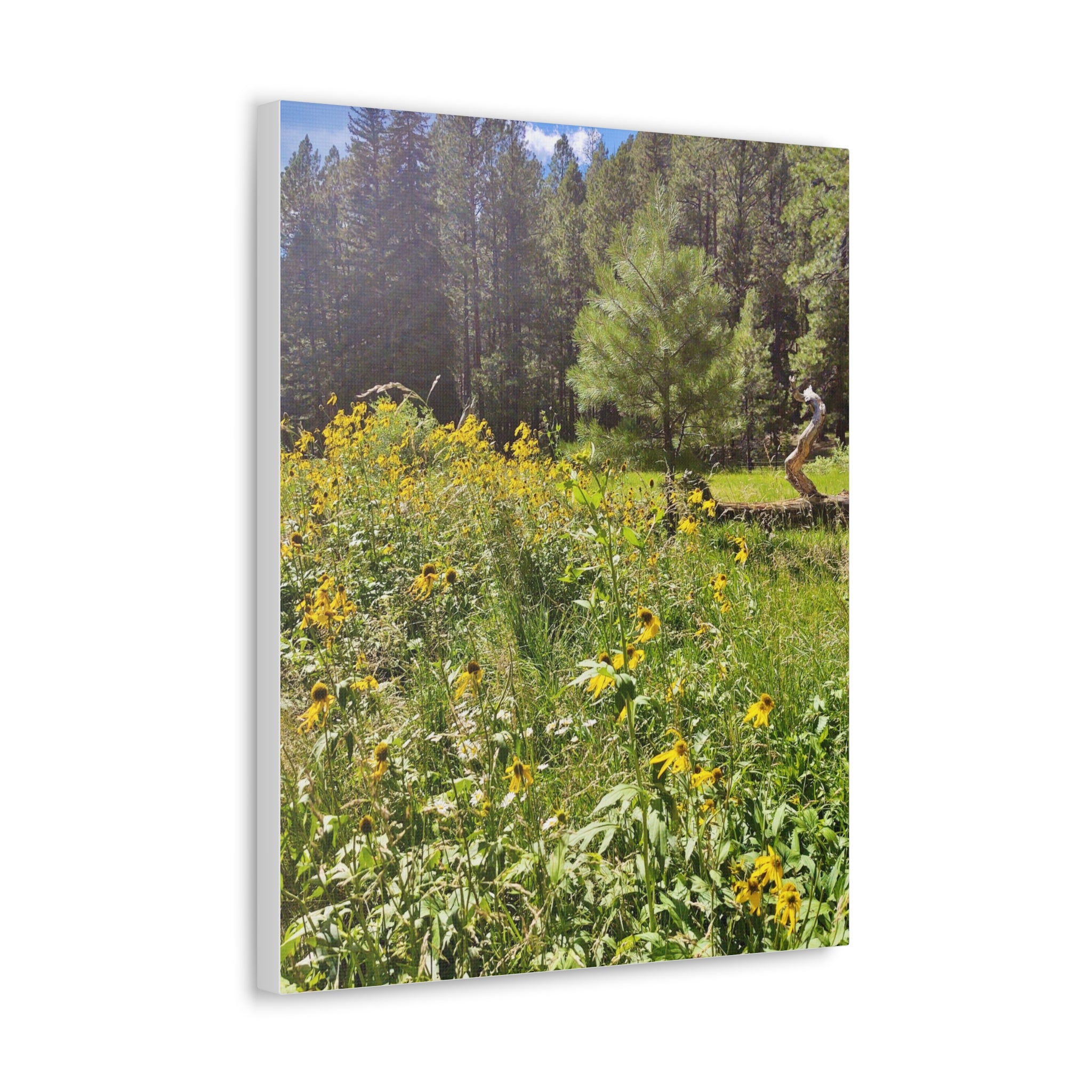 Canvas Wall Art, Nature Photography Decor, Floral Home Decor, Greenery Art Print, Gift for Nature Lovers