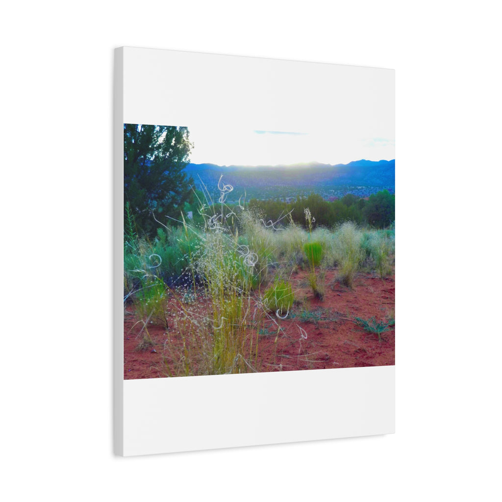 Stretched Canvas Art Print, Nature Wall Decor, Boho Home Decor, Rustic Landscape Art, Gift for Nature Lovers