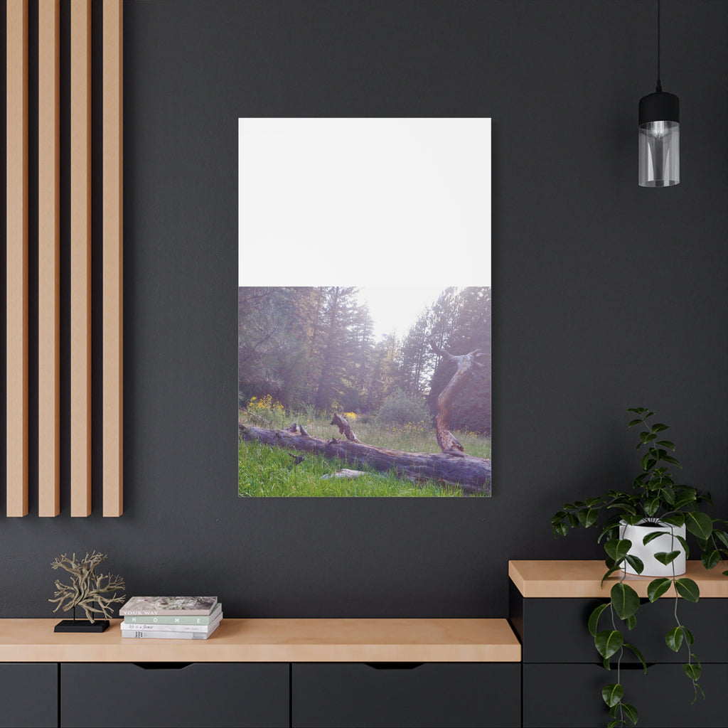 Matte Canvas Wall Art - Serene Nature Scene, Perfect for Home Decor, Gift for Nature Lovers, Office Wall Decoration, Rustic Art Print