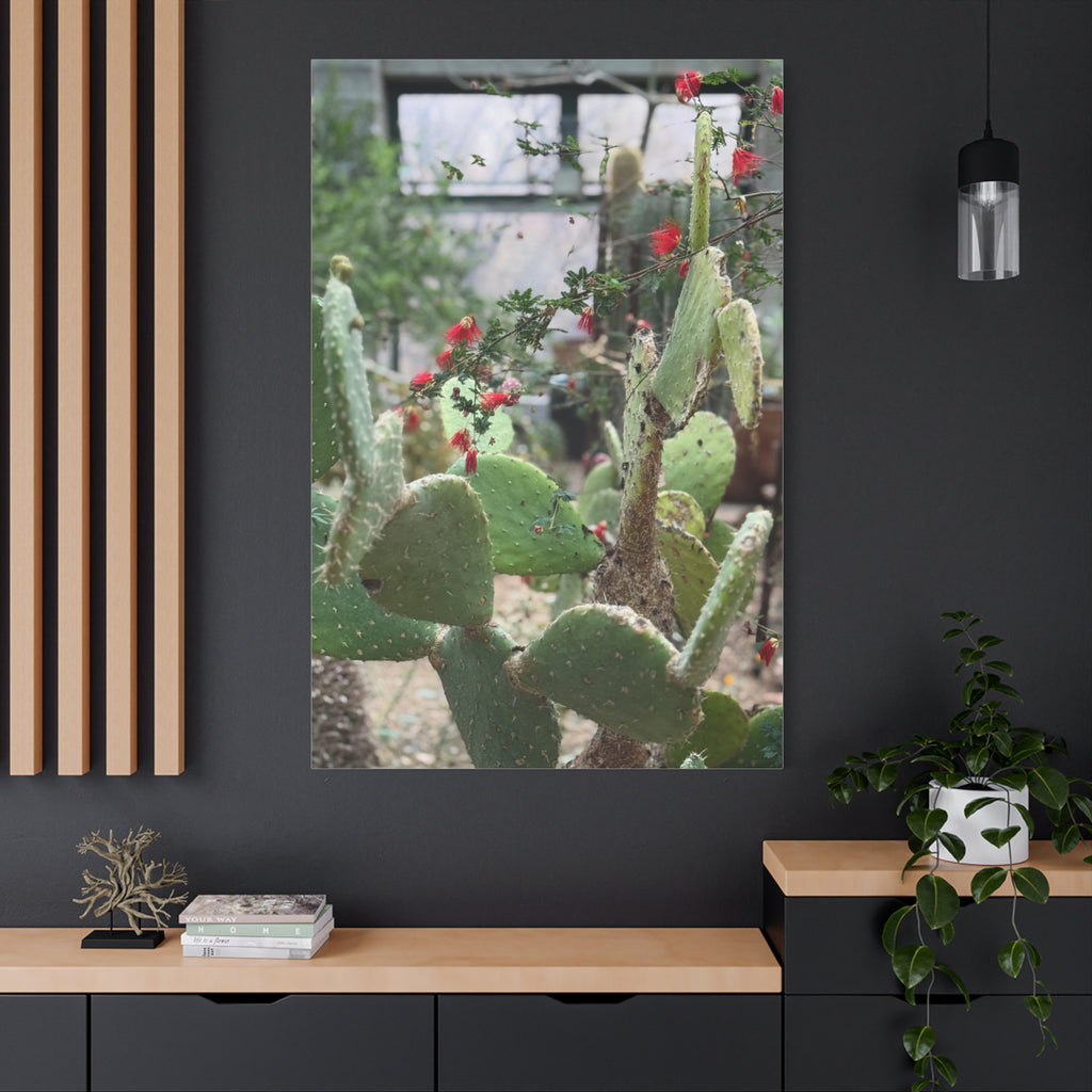 Cactus Artwork Print, Botanical Wall Decor, Succulent Canvas, Nature Lover Gift, Home Decoration