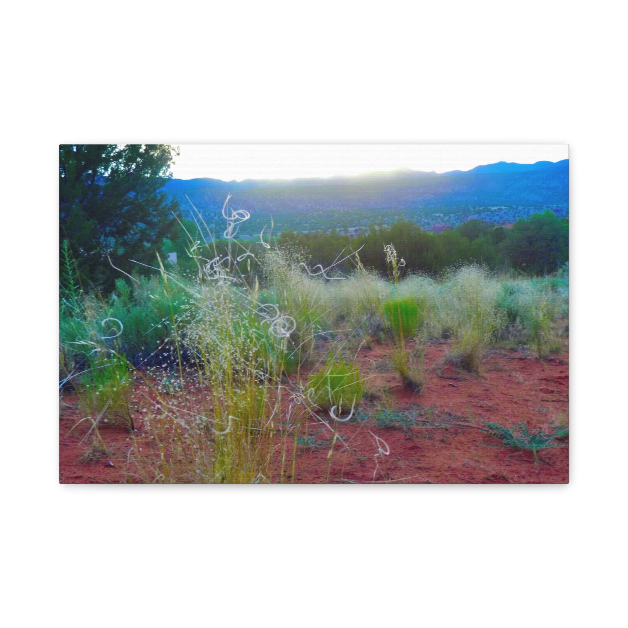 Stretched Canvas Art Print, Nature Wall Decor, Boho Home Decor, Rustic Landscape Art, Gift for Nature Lovers