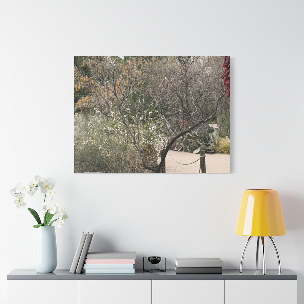 Classic Canvas Art Print, Bohemian Decor, Nature Wall Art, Home Gallery, Rustic Wall Decoration