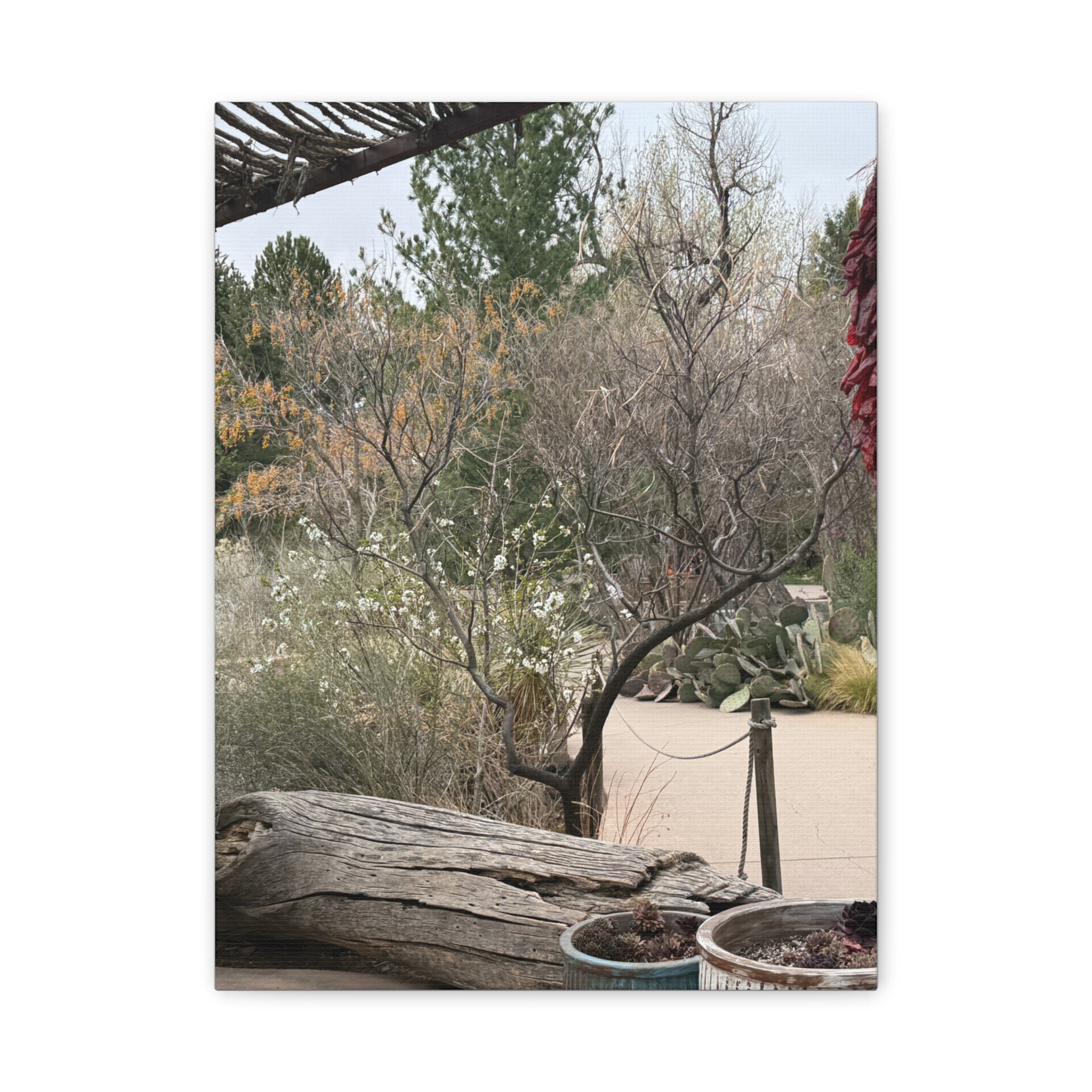 Classic Canvas Art Print, Bohemian Decor, Nature Wall Art, Home Gallery, Rustic Wall Decoration