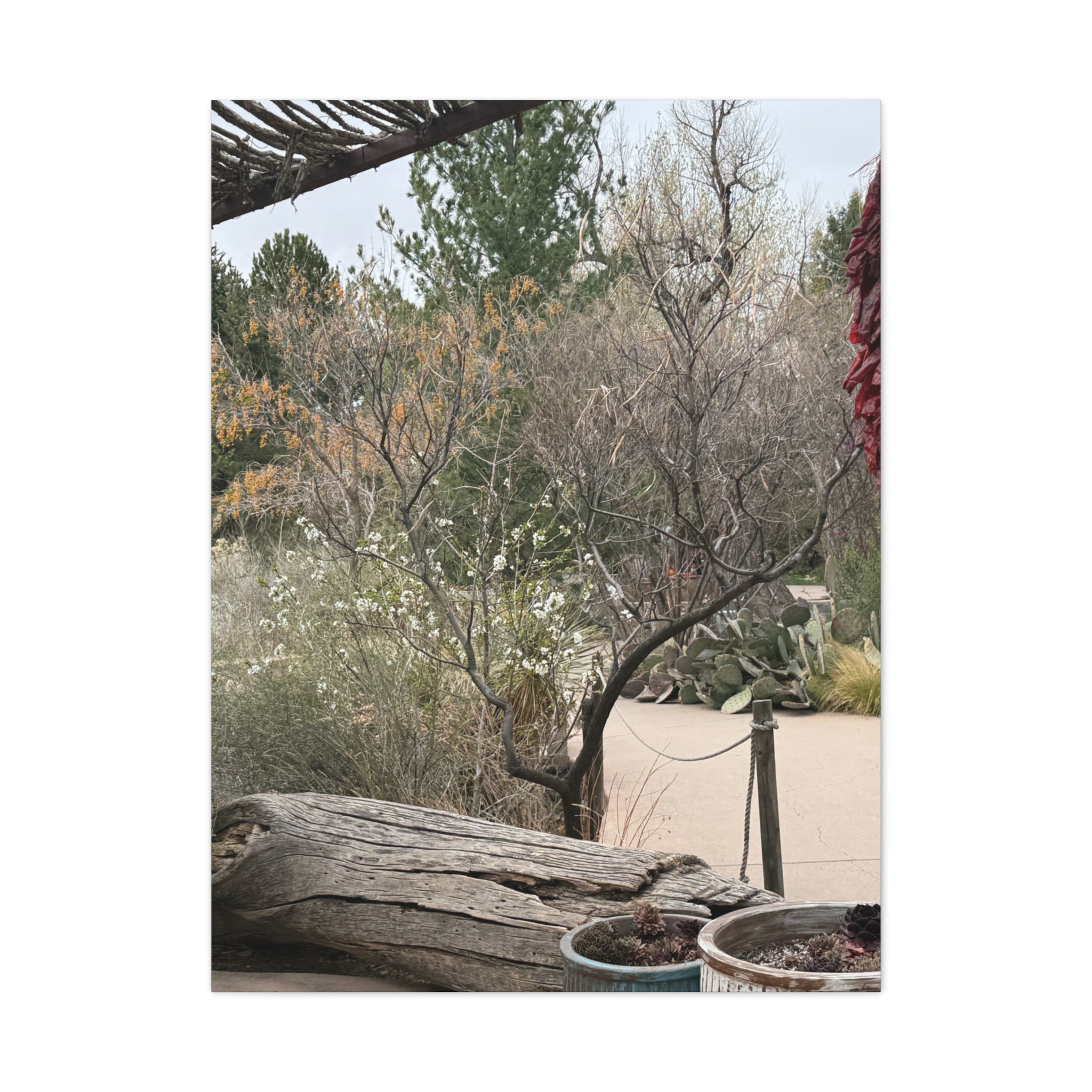 Classic Canvas Art Print, Bohemian Decor, Nature Wall Art, Home Gallery, Rustic Wall Decoration