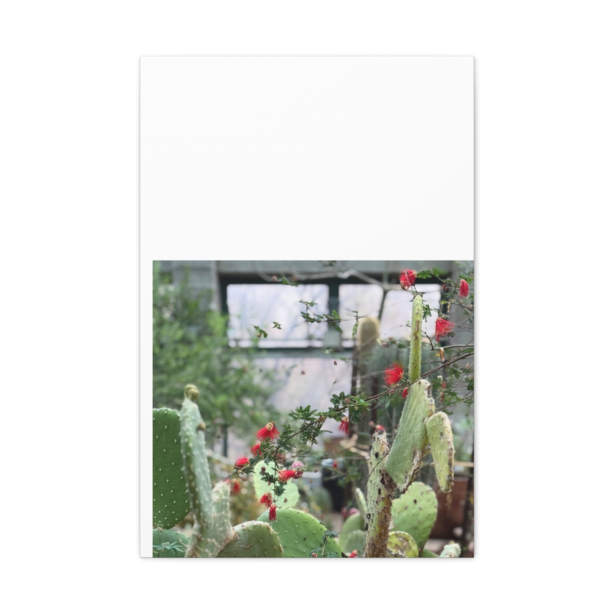 Cactus Wall Art Print, Nature Home Decor, Bohemian Style Artwork, Botanical Gift, Succulent Canvas