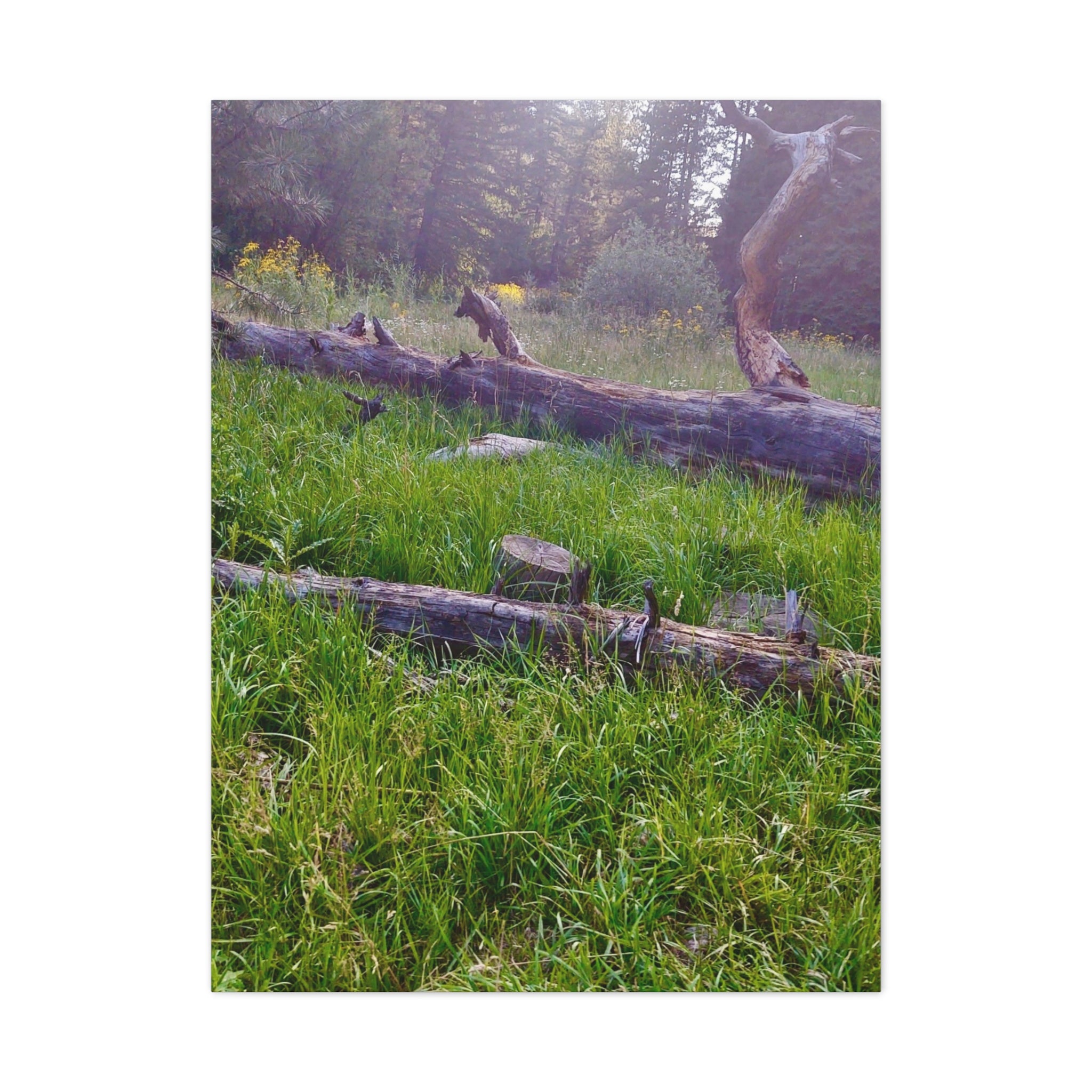 Classic Canvas Wall Art - Nature Decor, Outdoor Wall Hanging, Home Aesthetic, Gift for Nature Lovers, Rustic Cabin Decor