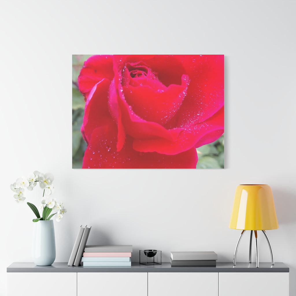 Stunning Floral Canvas Print, Home Decor, Wall Art, Gift for Flower Lovers, Red Rose Art, Mother's Day Gift