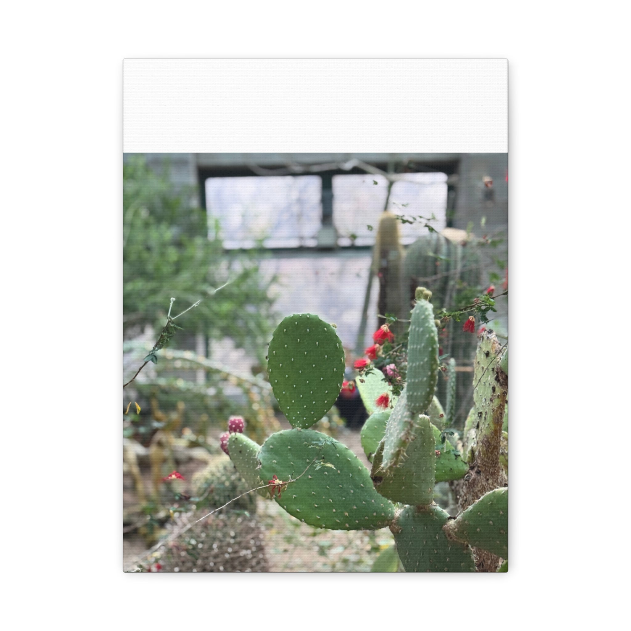 Cactus Matte Canvas Wall Art, Nature Decor, Southwestern Room Design, Green Plant Prints, Home and Office Wall Decor