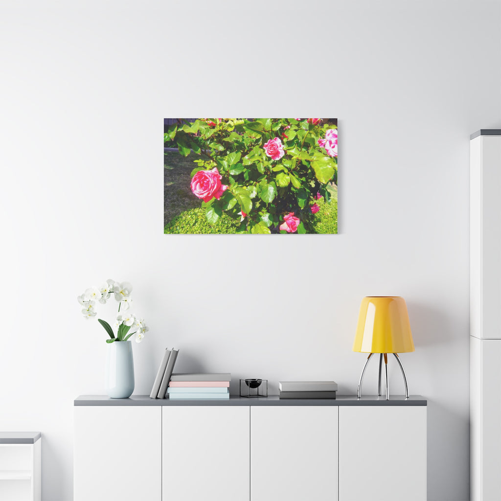 Floral Canvas Wall Art, Pink Rose Decor, Home Gallery Piece, Flower Photography, Garden Wall Decor, Floral Print