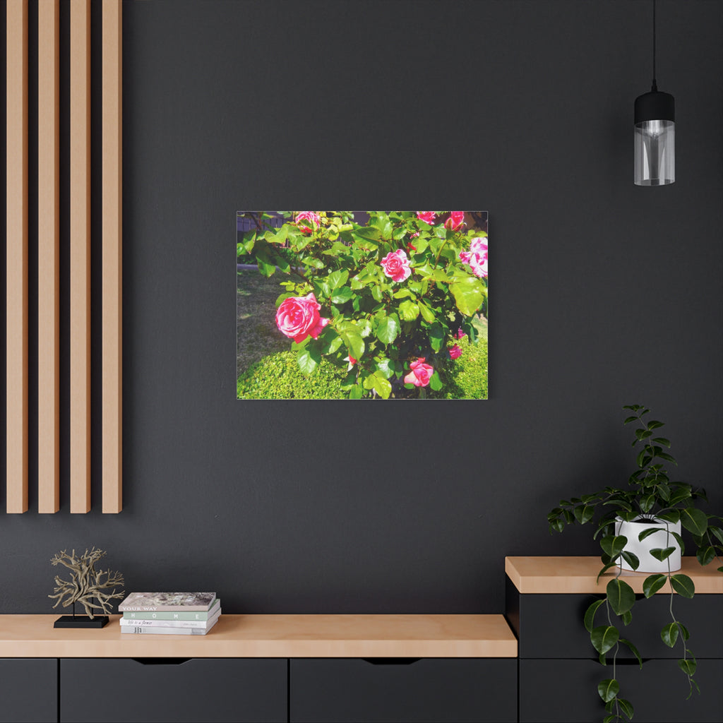 Floral Canvas Wall Art, Pink Rose Decor, Home Gallery Piece, Flower Photography, Garden Wall Decor, Floral Print