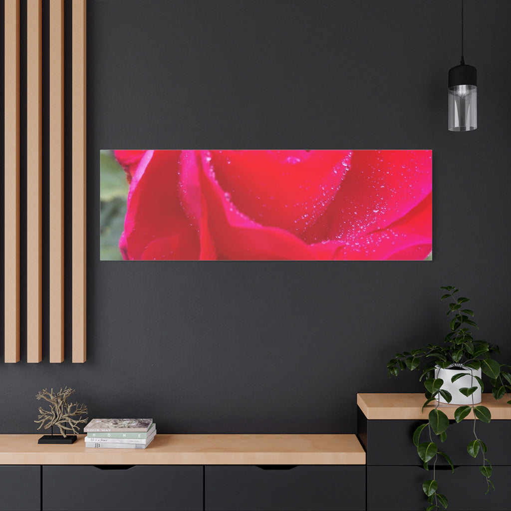 Stunning Floral Canvas Print, Home Decor, Wall Art, Gift for Flower Lovers, Red Rose Art, Mother's Day Gift