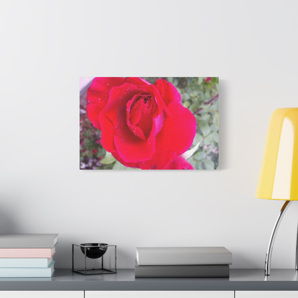 Vibrant Floral Canvas Art, Elegant Wall Decor, Perfect for Home, Gifts, Mother's Day, and Weddings