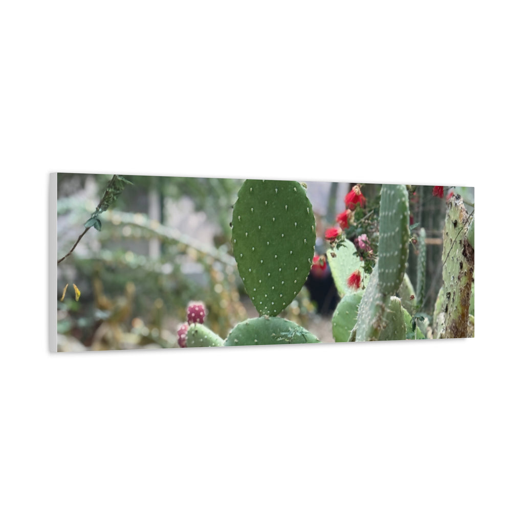 Cactus Matte Canvas Wall Art, Nature Decor, Southwestern Room Design, Green Plant Prints, Home and Office Wall Decor