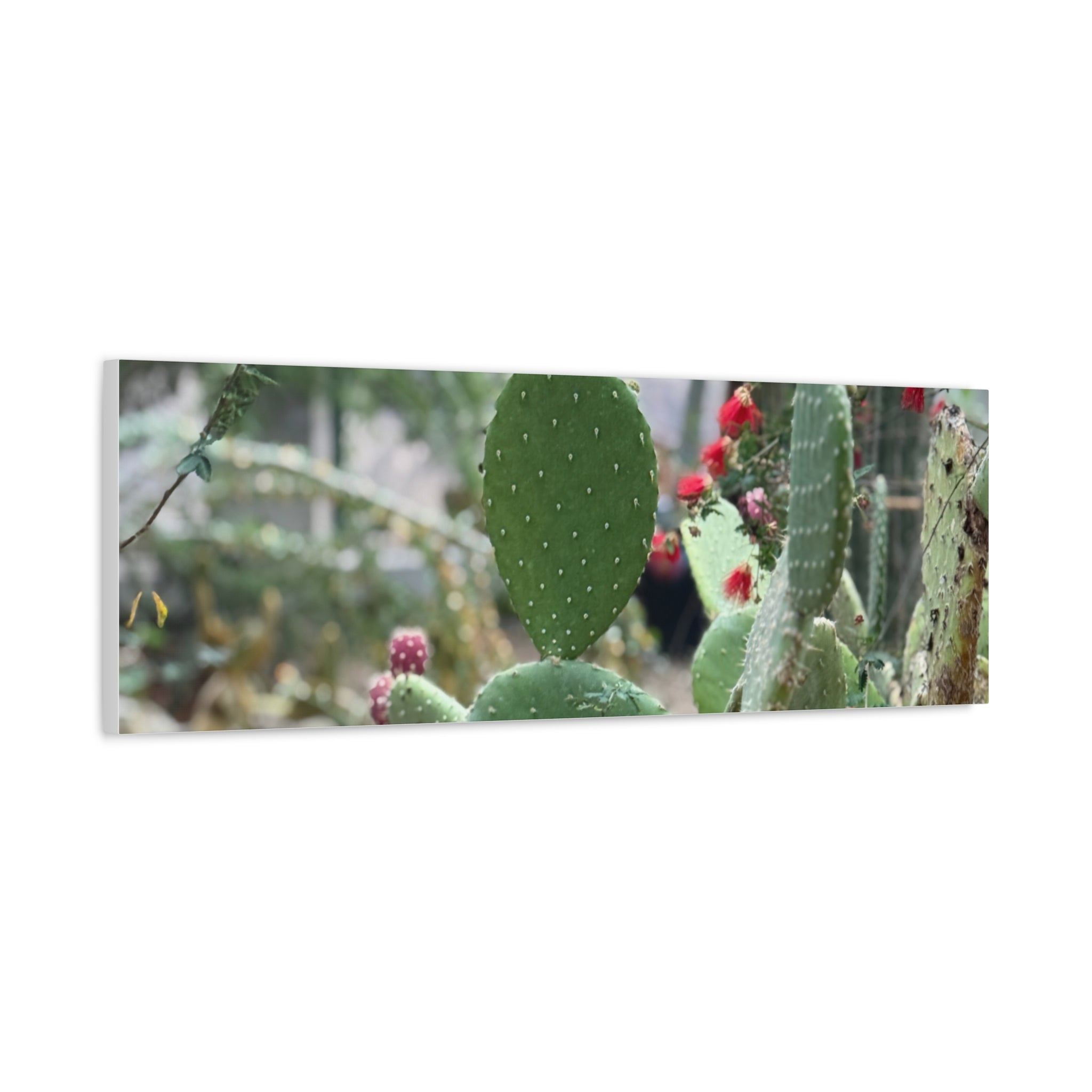 Cactus Matte Canvas Wall Art, Nature Decor, Southwestern Room Design, Green Plant Prints, Home and Office Wall Decor