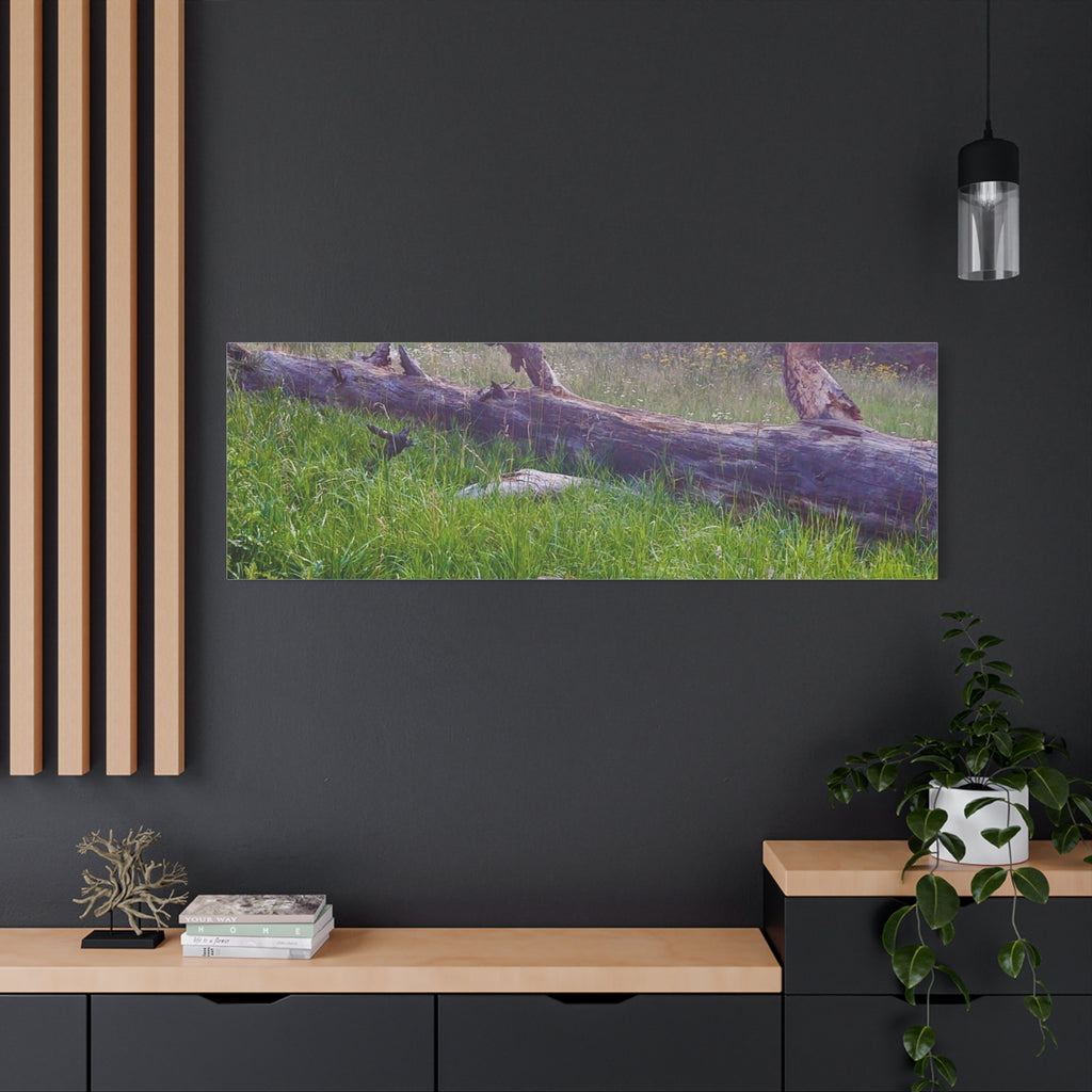 Matte Canvas Wall Art - Serene Nature Scene, Perfect for Home Decor, Gift for Nature Lovers, Office Wall Decoration, Rustic Art Print