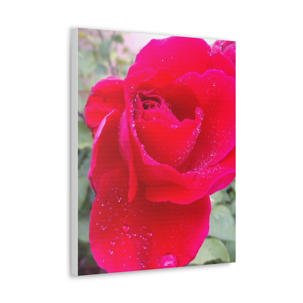 Stunning Floral Canvas Print, Home Decor, Wall Art, Gift for Flower Lovers, Red Rose Art, Mother's Day Gift