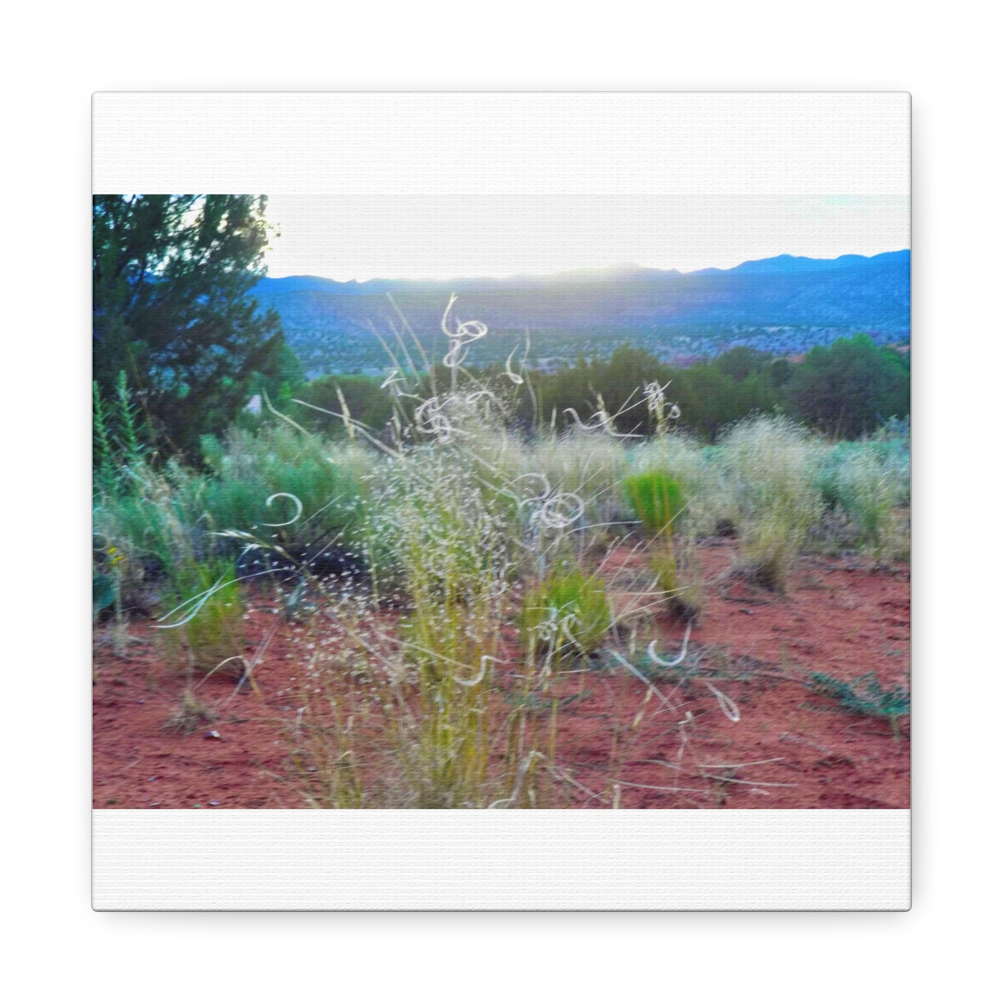 Serene Desert Landscape Canvas Print, Nature Wall Art, Home Decor, Gift for Nature Lovers, Rustic Art for Living Room, Boho Decor