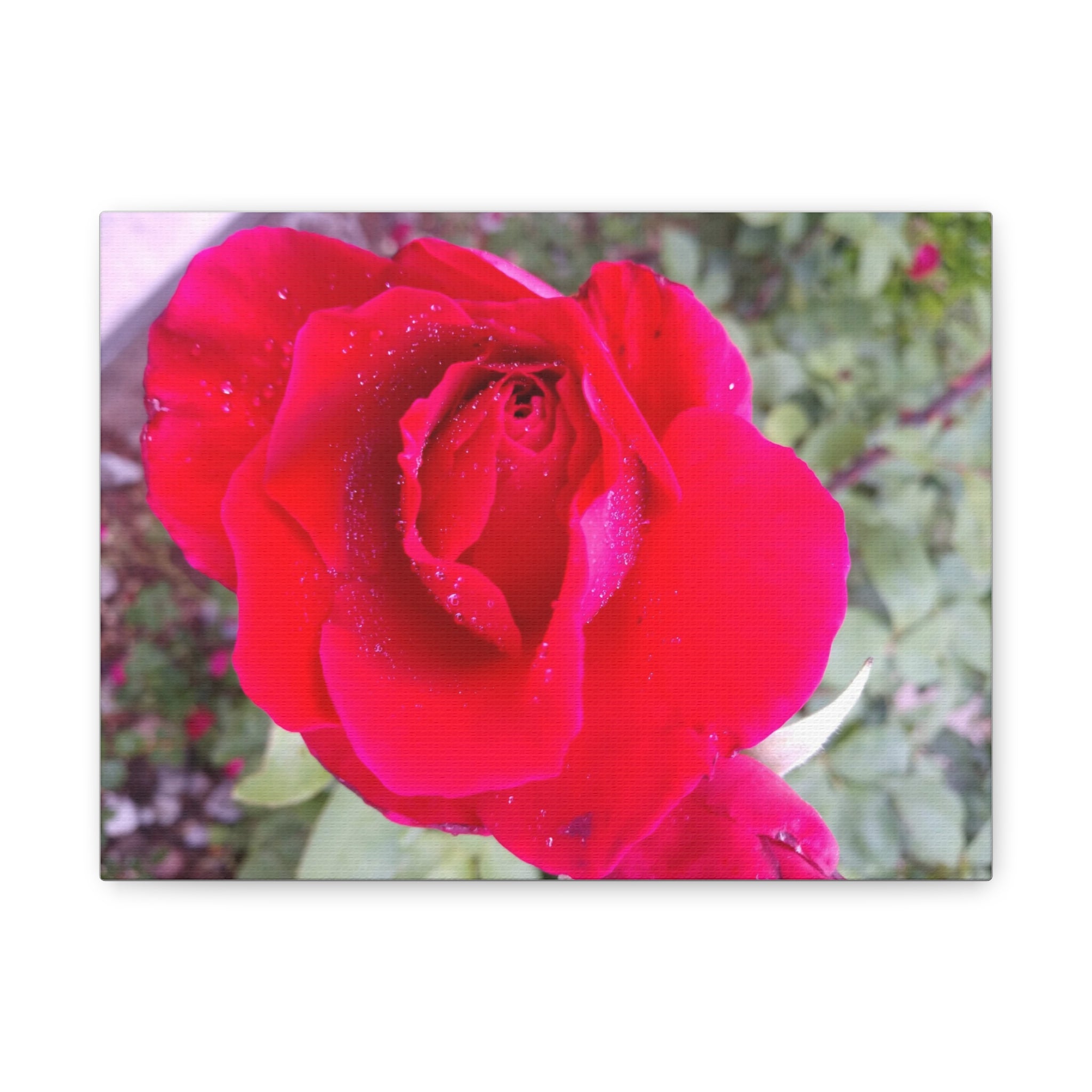 Vibrant Floral Canvas Art, Elegant Wall Decor, Perfect for Home, Gifts, Mother's Day, and Weddings